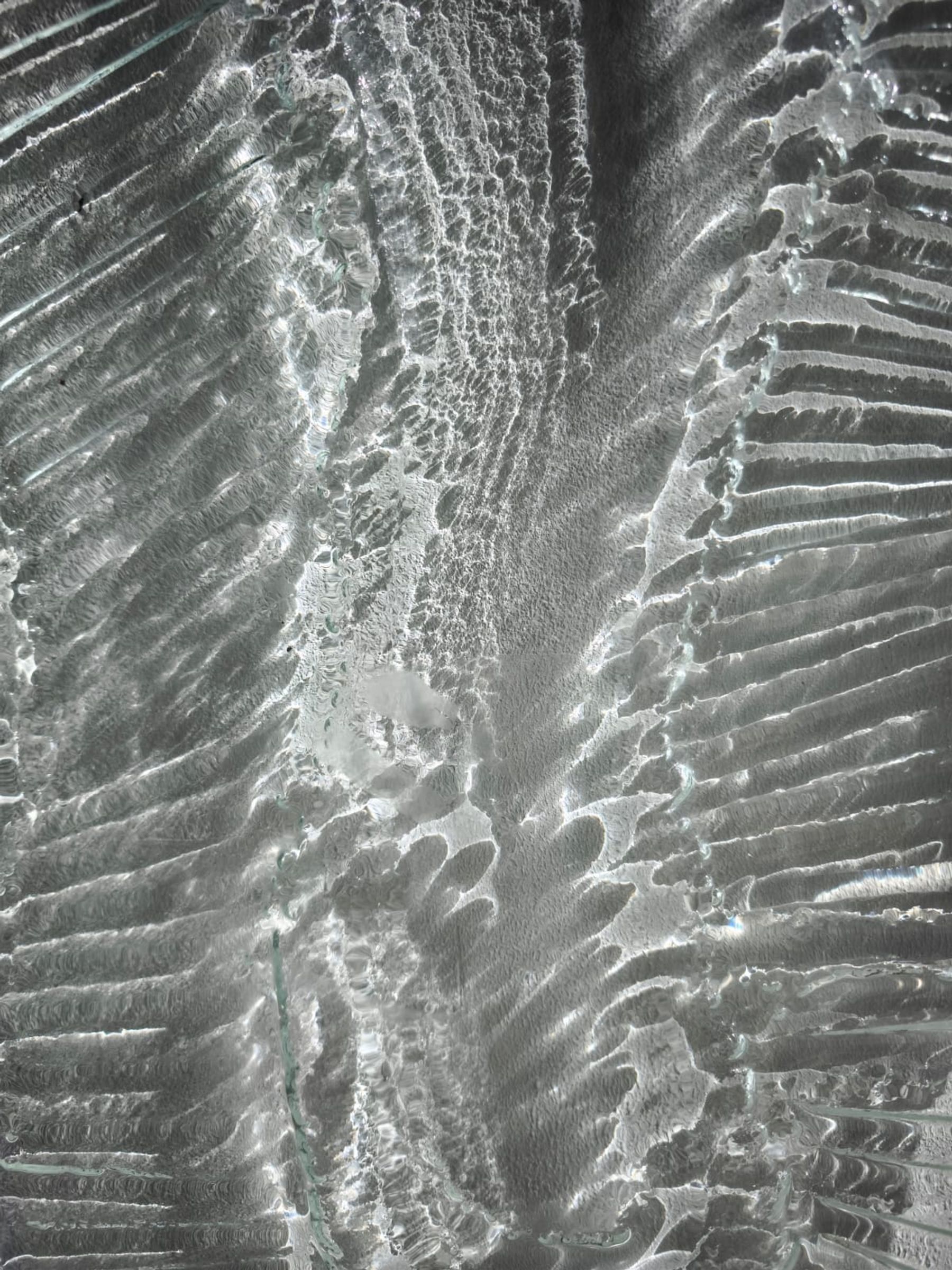 Terra entrañas 2, 2025, 151,5x111,2 cm