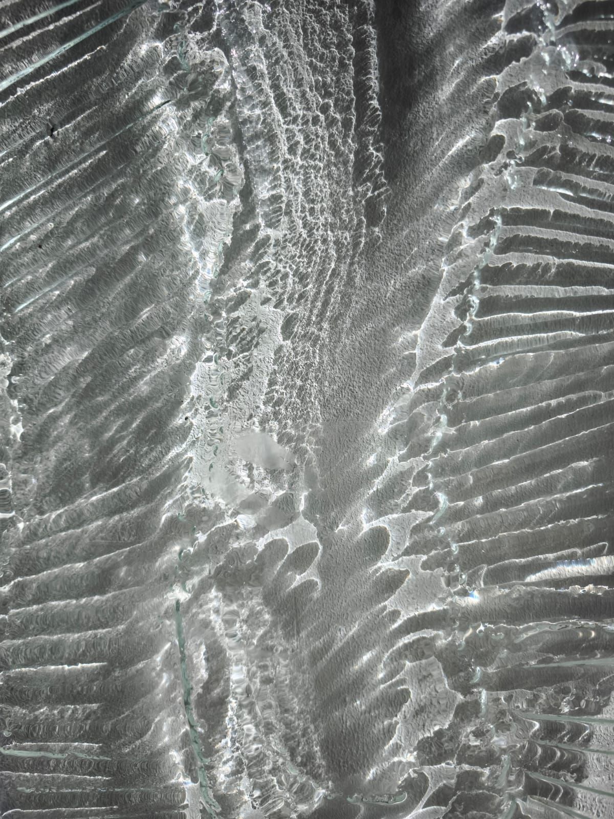 Terra entrañas 2, 2025, 151,5x111,2 cm