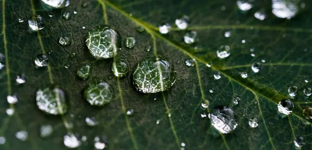 Achtsamkeitsbasierte Stressreduktion