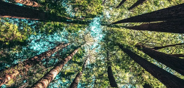 Beitragsbild für Neue Such- und Filterfunktionen