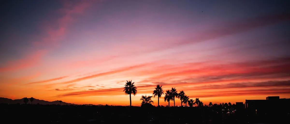 Palm trees silhouetted against a pink and orange sunset sky in Phoenix, Arizona