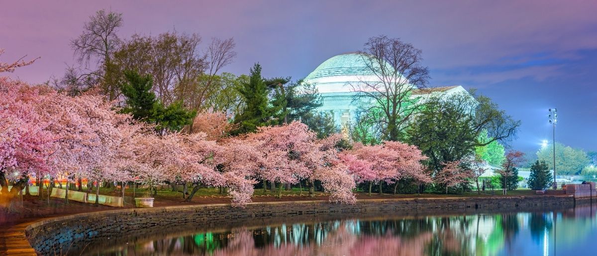 LGBTQ+ Friendly Hotels in Washington D.C. (2026)