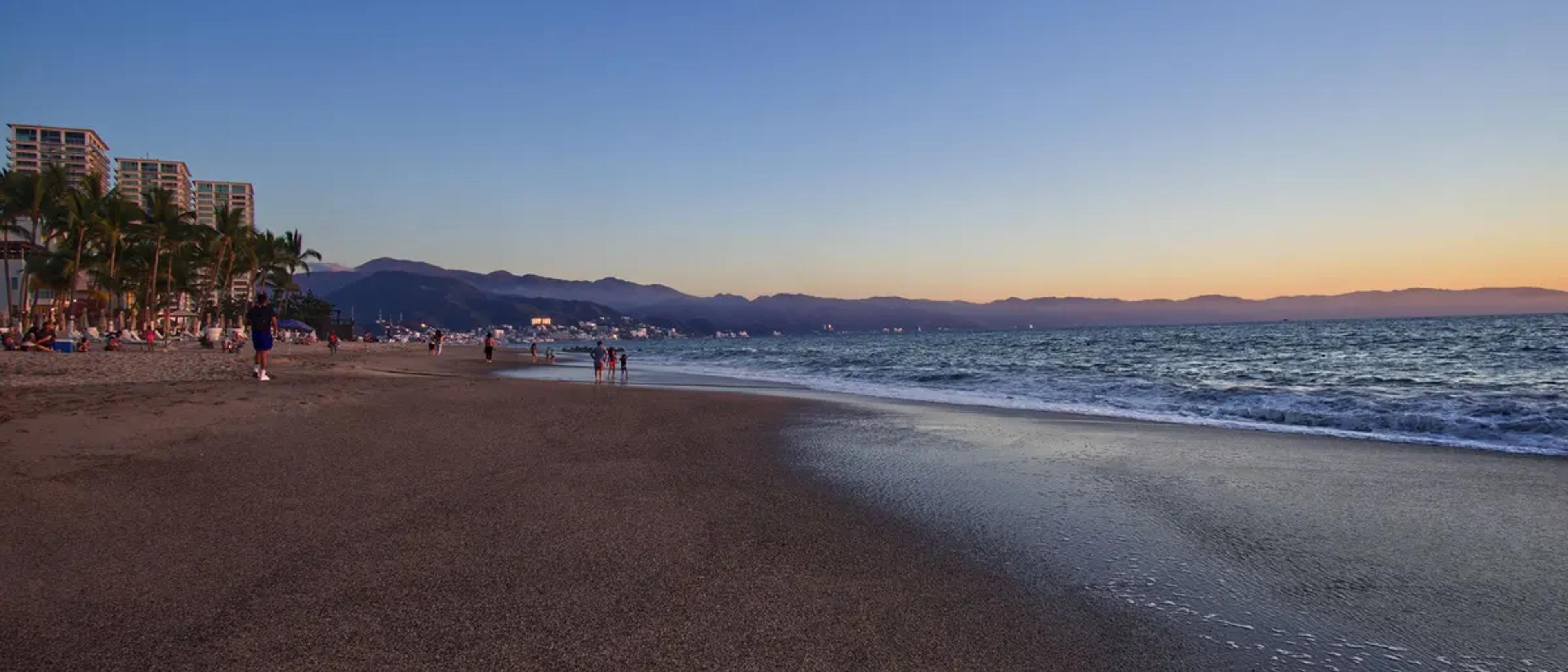 Puerto Vallarta beach at sunset with palm trees, the bay and the Sierra Madre behind