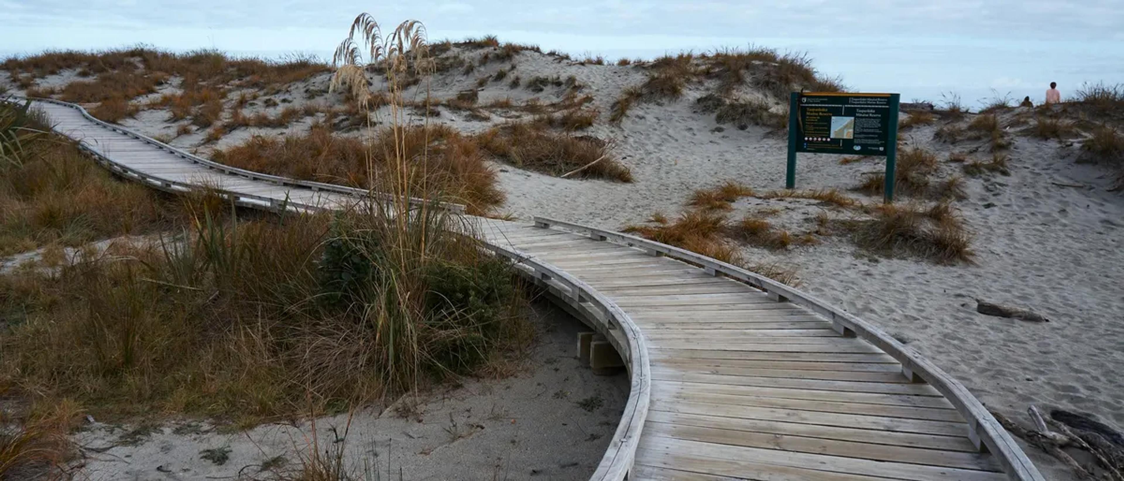 A wooden boardwalk winding through beach dunes toward the ocean