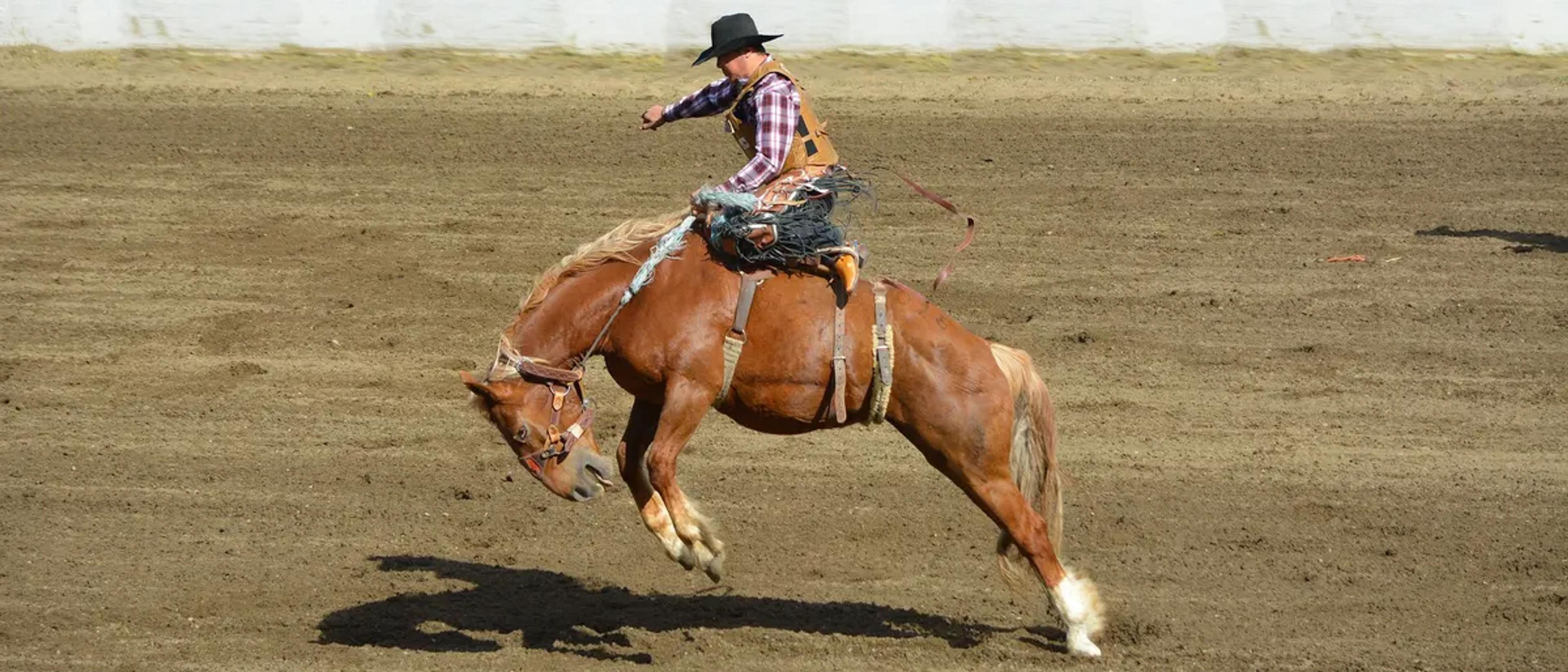 Cowboy riding a bucking bronc in a dirt rodeo arena