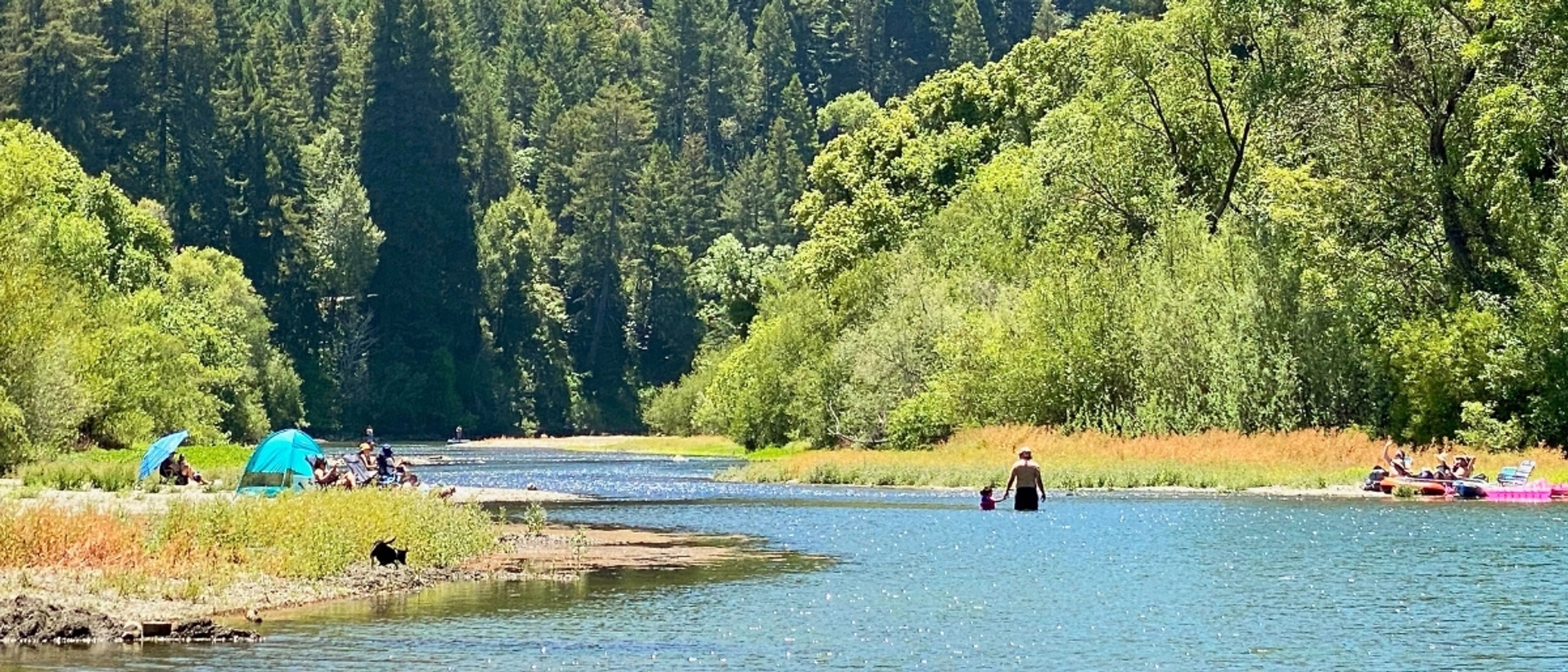 Lazy Bear Weekend 2026: The Complete Guide to Pool Parties, the Fireside Fling & Russian River Bears