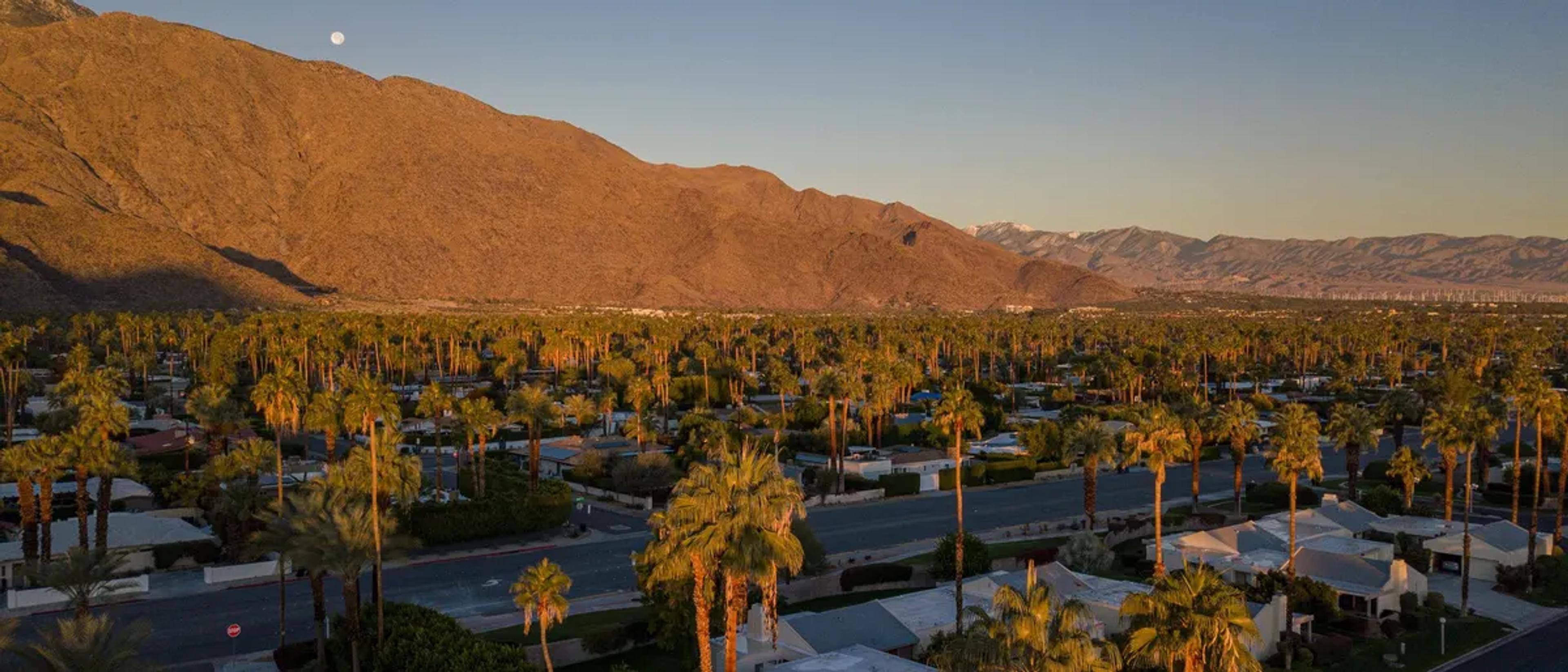 Aerial view of Palm Springs at golden hour with palm groves and the San Jacinto mountains, host city of The Dinah