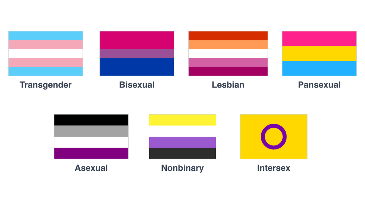 The transgender, bisexual, lesbian, pansexual, asexual, nonbinary and intersex Pride flags