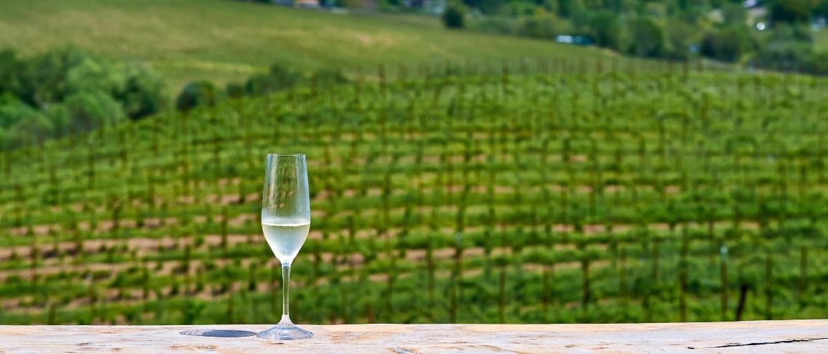 Sonoma County Pride 2026: Gay Guide to Wine Country Pride Near San Francisco