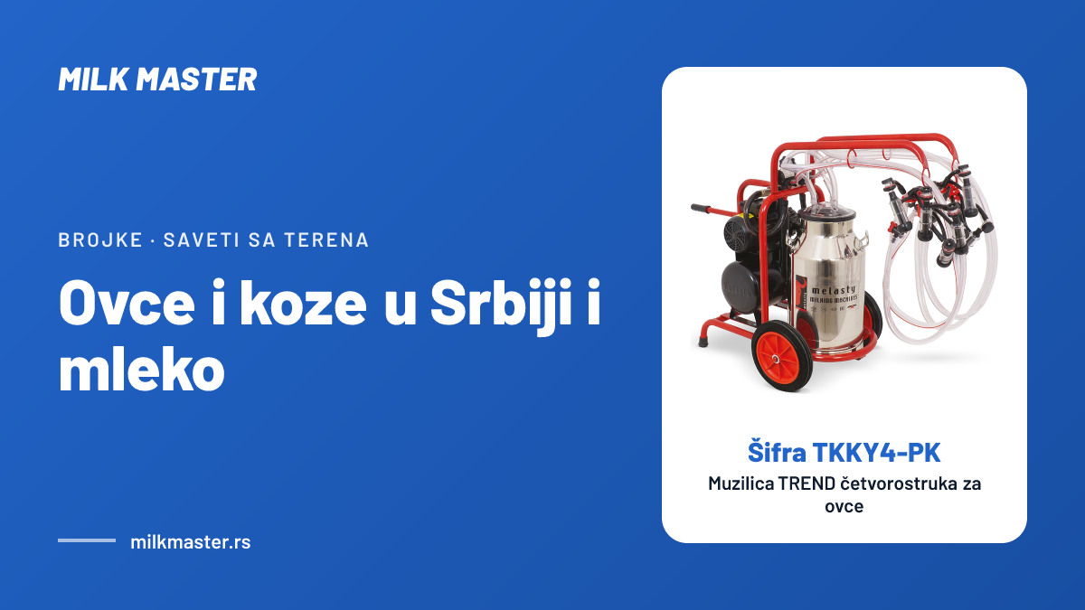 Naslovna slika teksta „Ovce i koze u Srbiji i mleko: broj grla, farme i mlečne rase u brojkama“, na slici Muzilica TREND četvorostruka za ovce, šifra TKKY4-PK