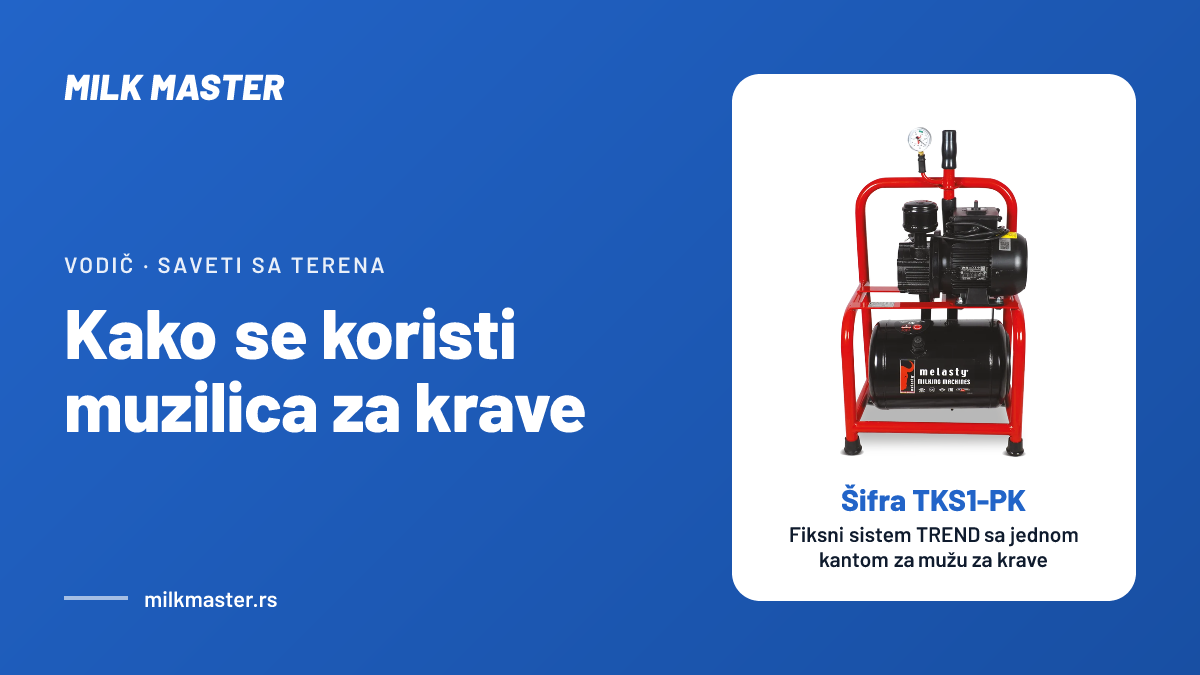 Kako se koristi muzilica za krave: 7 koraka od pripreme vimena do pranja, uz Fiksni sistem TREND sa jednom kantom za mužu za krave (šifra TKS1-PK)