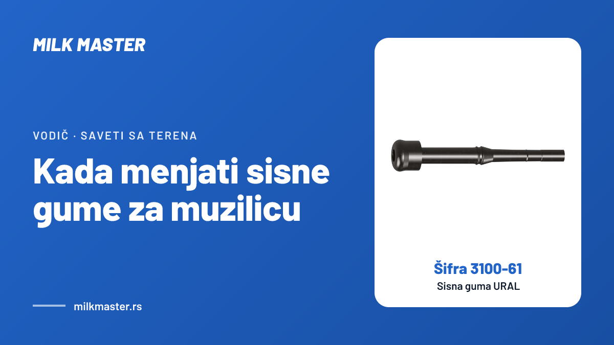 Kada menjati sisne gume za muzilicu: 2.500 muža, rok od 6 meseci i 6 znakova istrošenosti, uz Sisna guma URAL (šifra 3100-61)