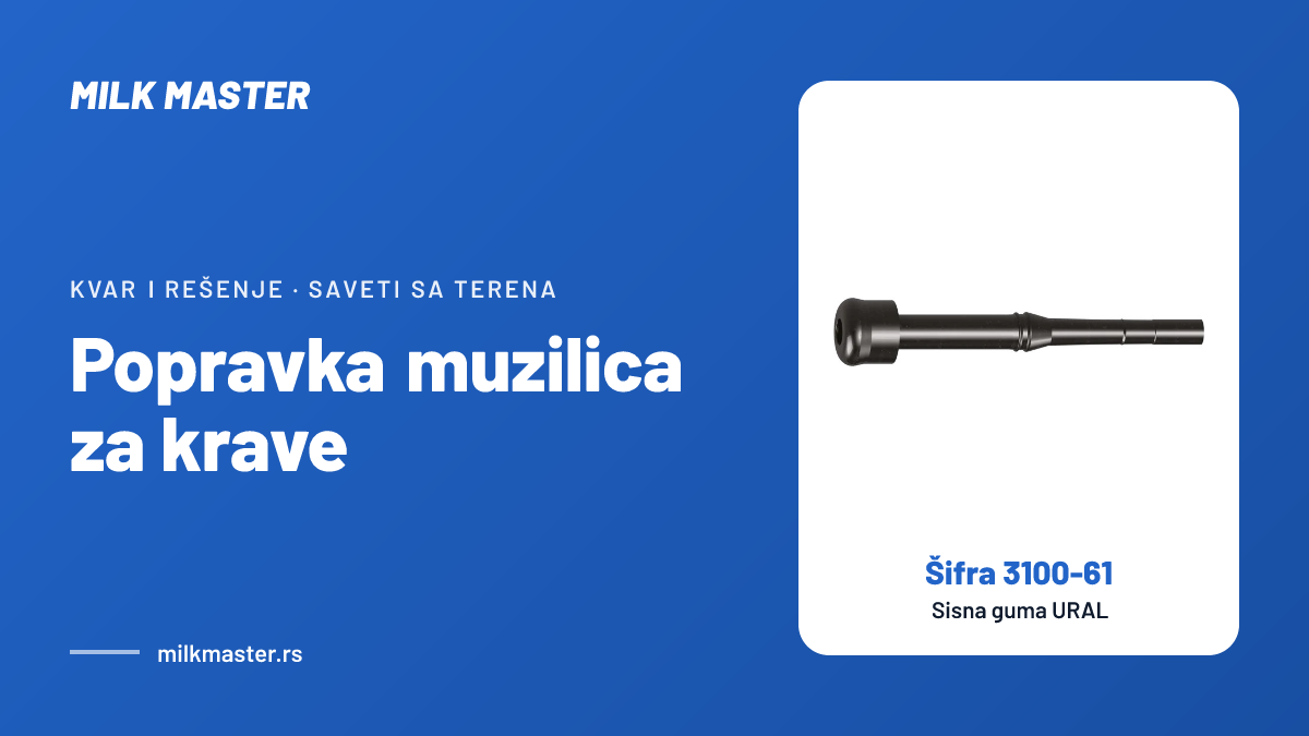 Popravka muzilica za krave: šta možete sami, koji delovi se menjaju i kada zvati servis, uz Sisna guma URAL (šifra 3100-61)