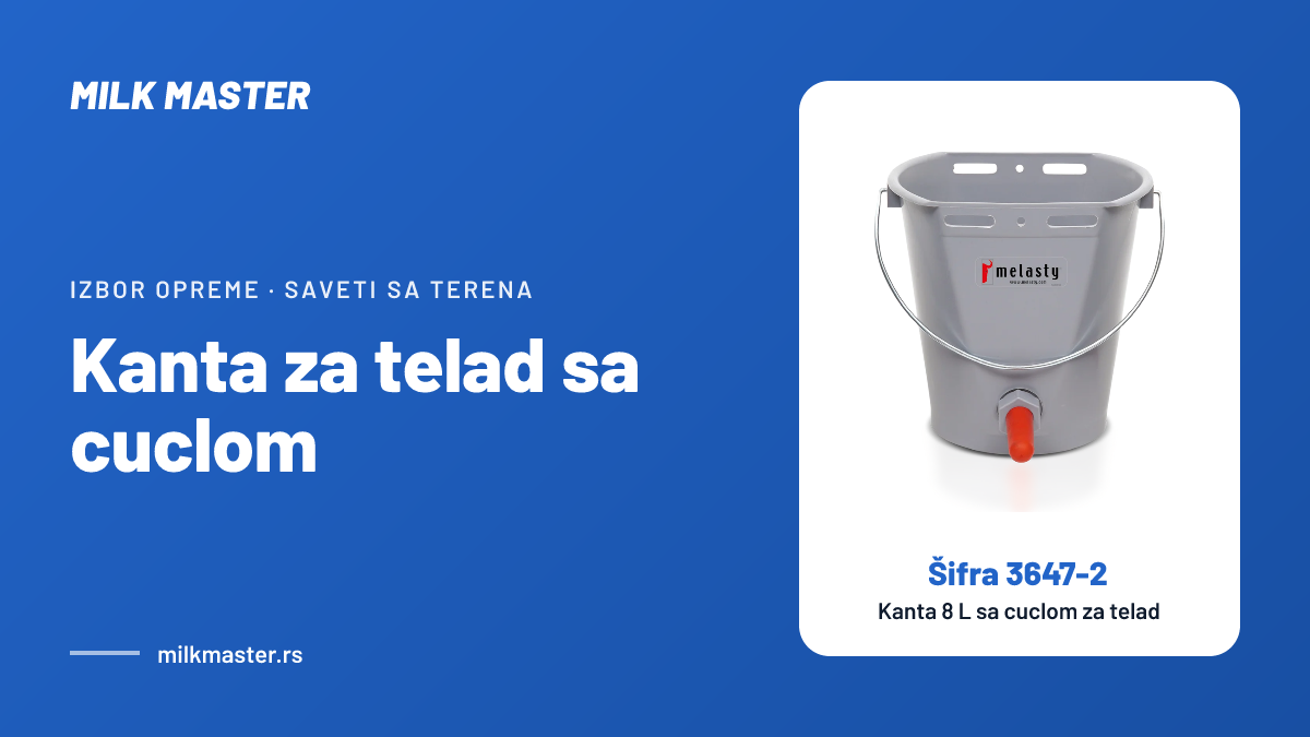 Naslovna slika teksta „Kanta za telad sa cuclom: kako hraniti telad na kantu, koliko mleka i kako je prati“, na slici Kanta 8 L sa cuclom za telad, šifra 3647-2