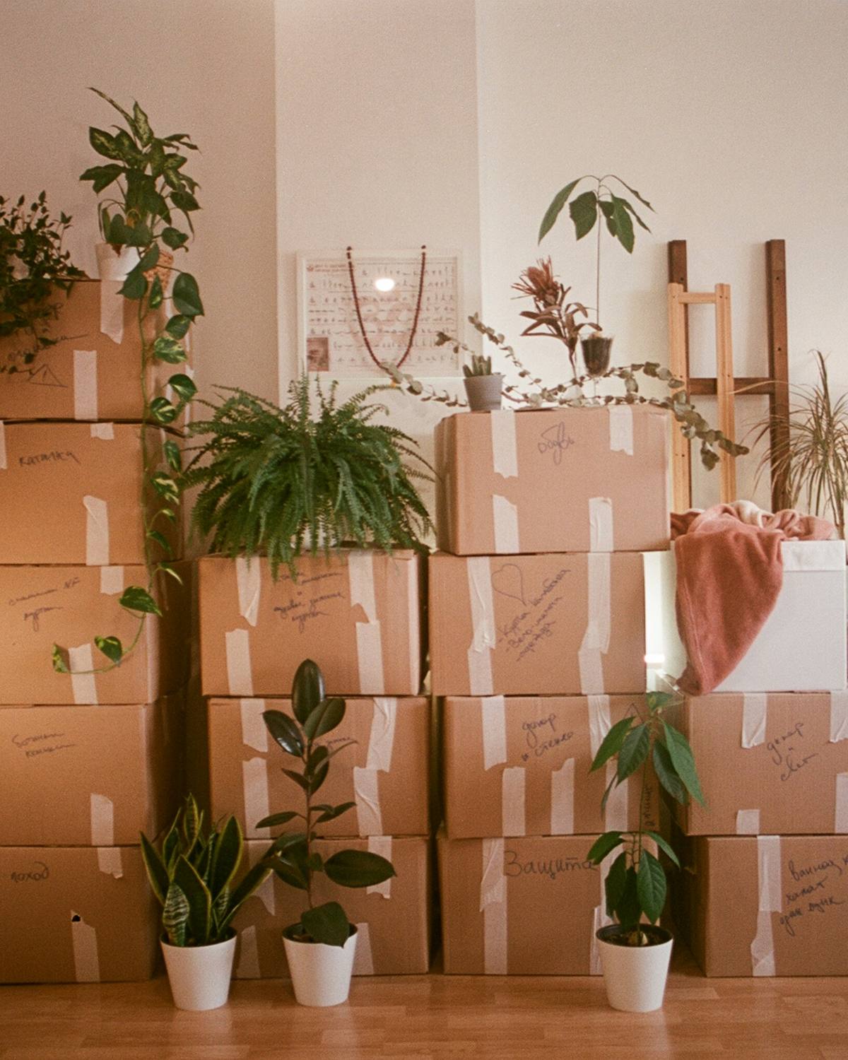 Stacked cardboard moving boxes with plants and books beside a floor lamp