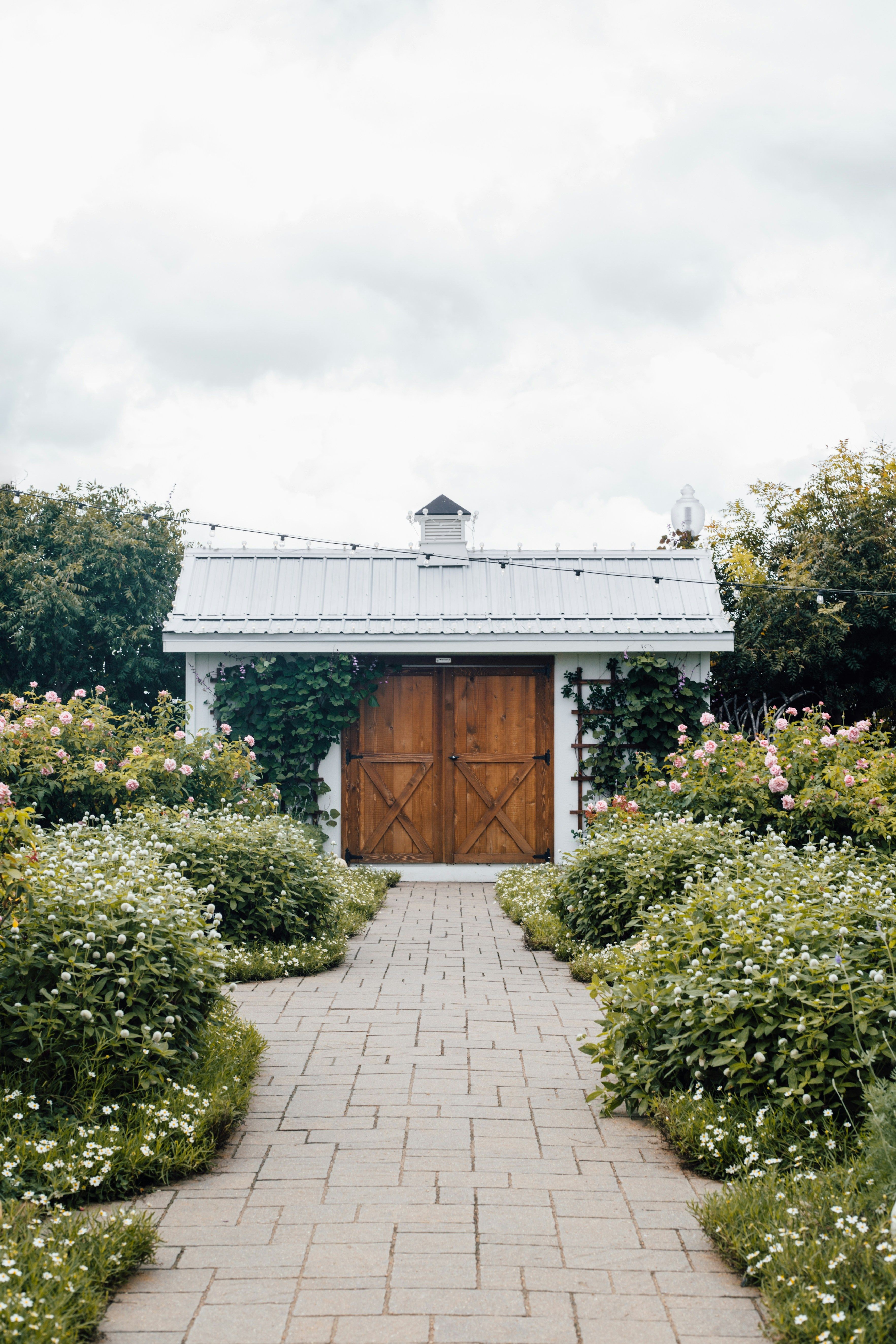 A paved path between hedges leading to a garden shed with double doors