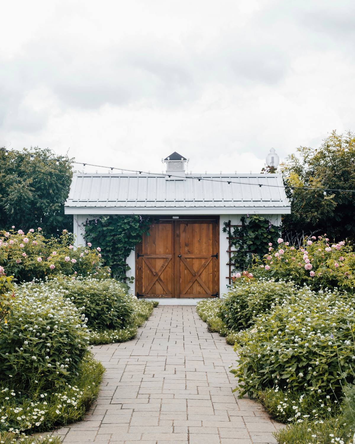 A paved path between hedges leading to a garden shed with double doors