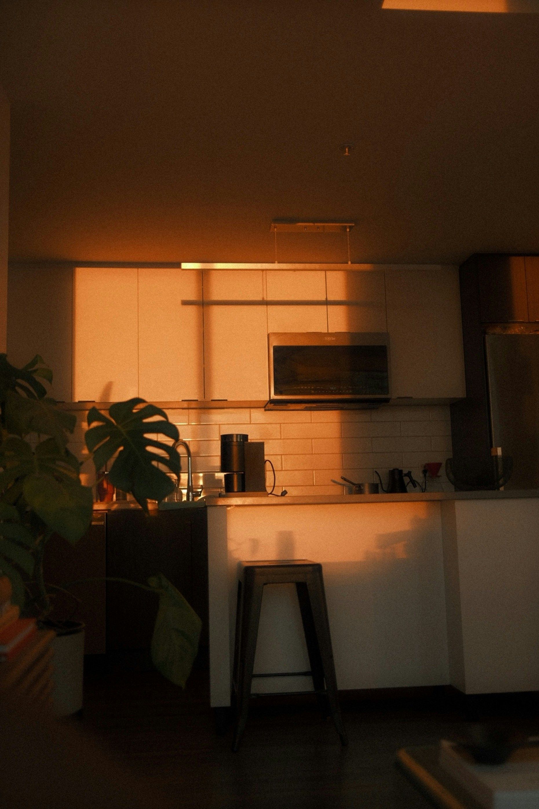 A kitchen corner at dusk, warm light under the cabinets and a plant on the bench
