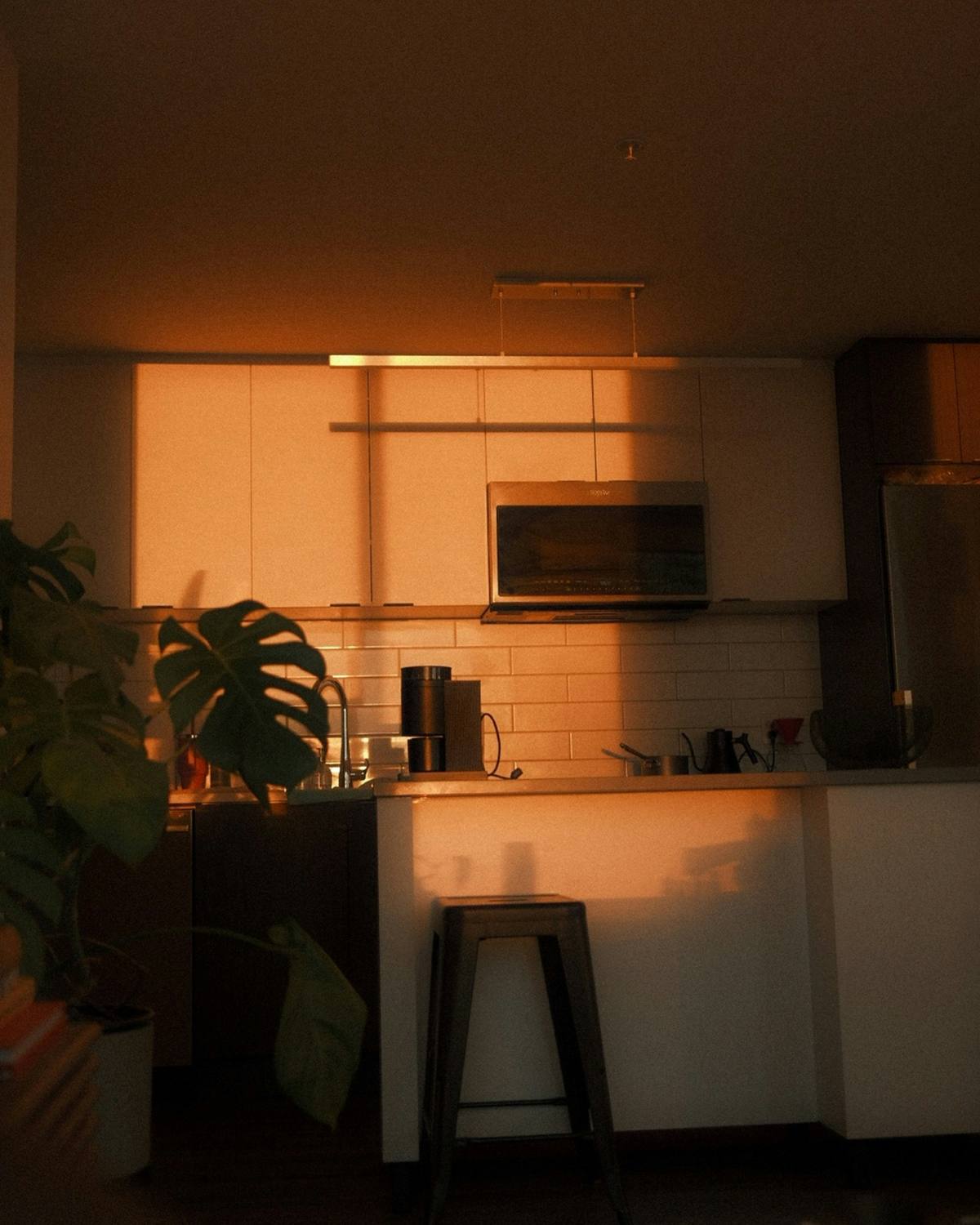 A kitchen corner at dusk, warm light under the cabinets and a plant on the bench