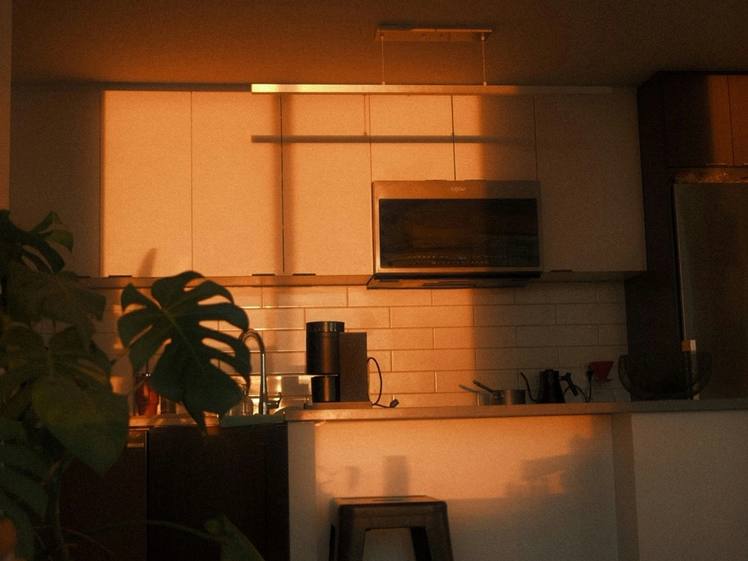 A kitchen corner at dusk, warm light under the cabinets and a plant on the bench