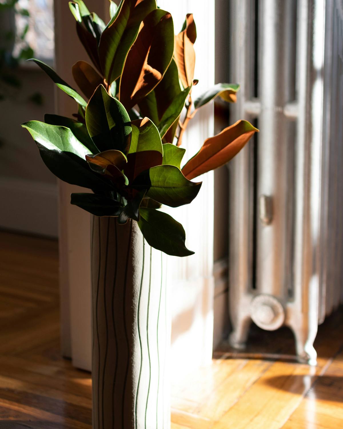 A vase of magnolia leaves on a wooden floor beside a radiator