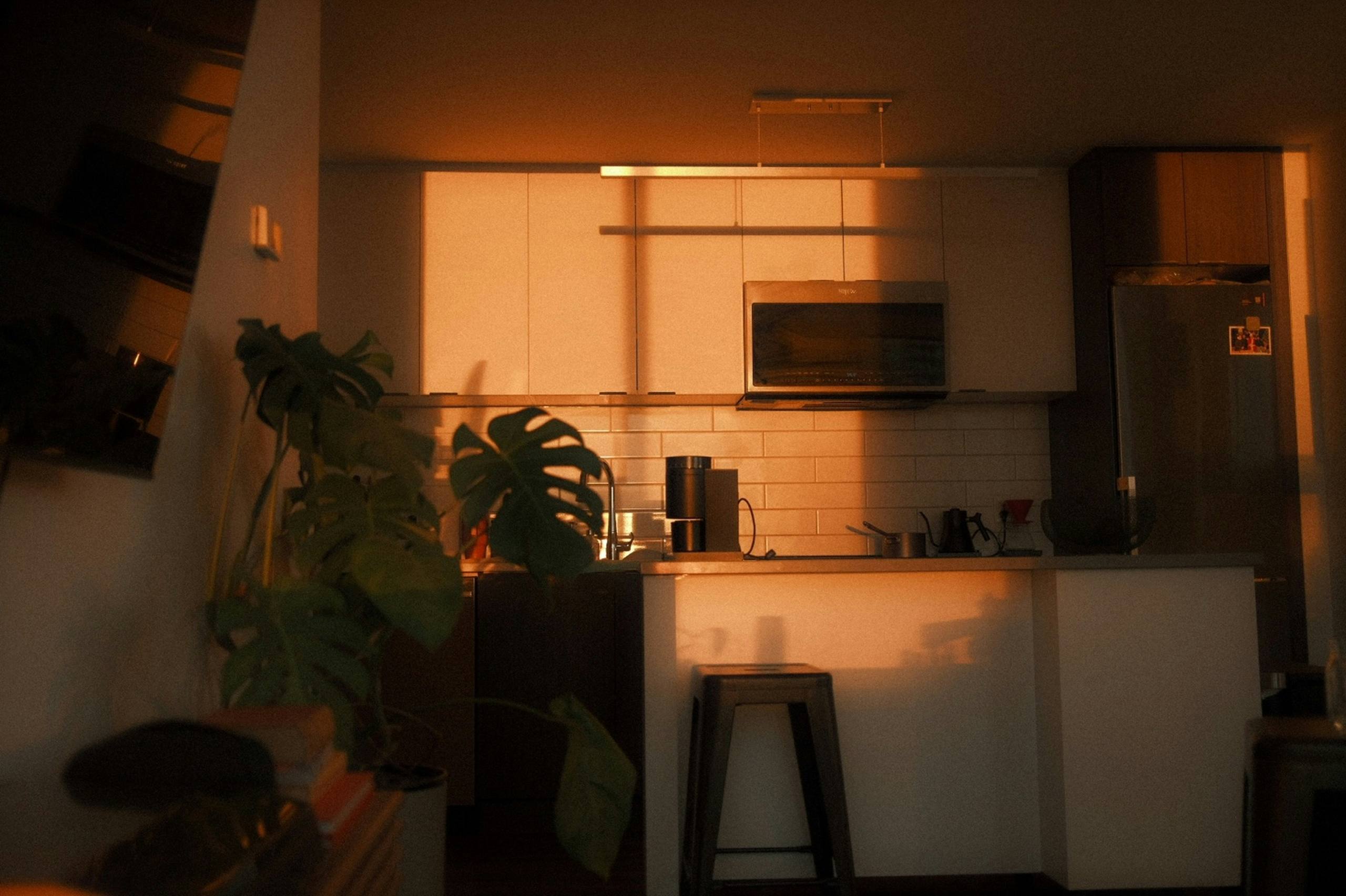 A kitchen bench in evening light, with plants and a stool at the counter