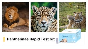 Pantherinae Rapid Test