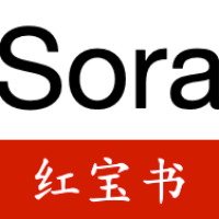 Sora红宝书 关于Sora的一切都在这头像