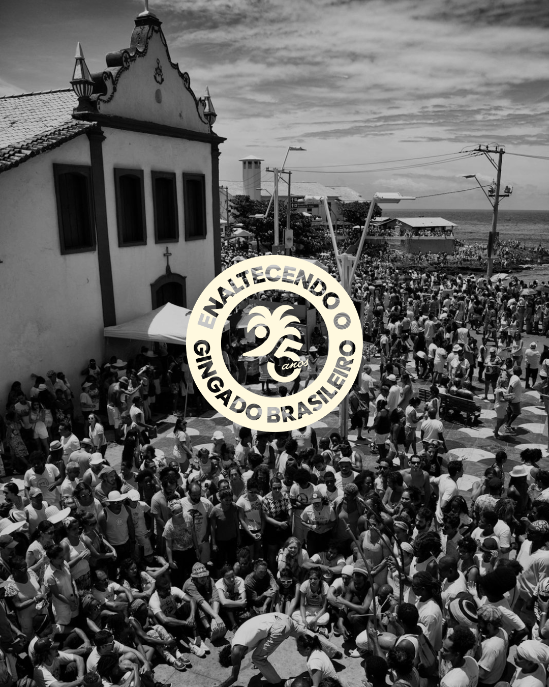@fotosdecapoeira