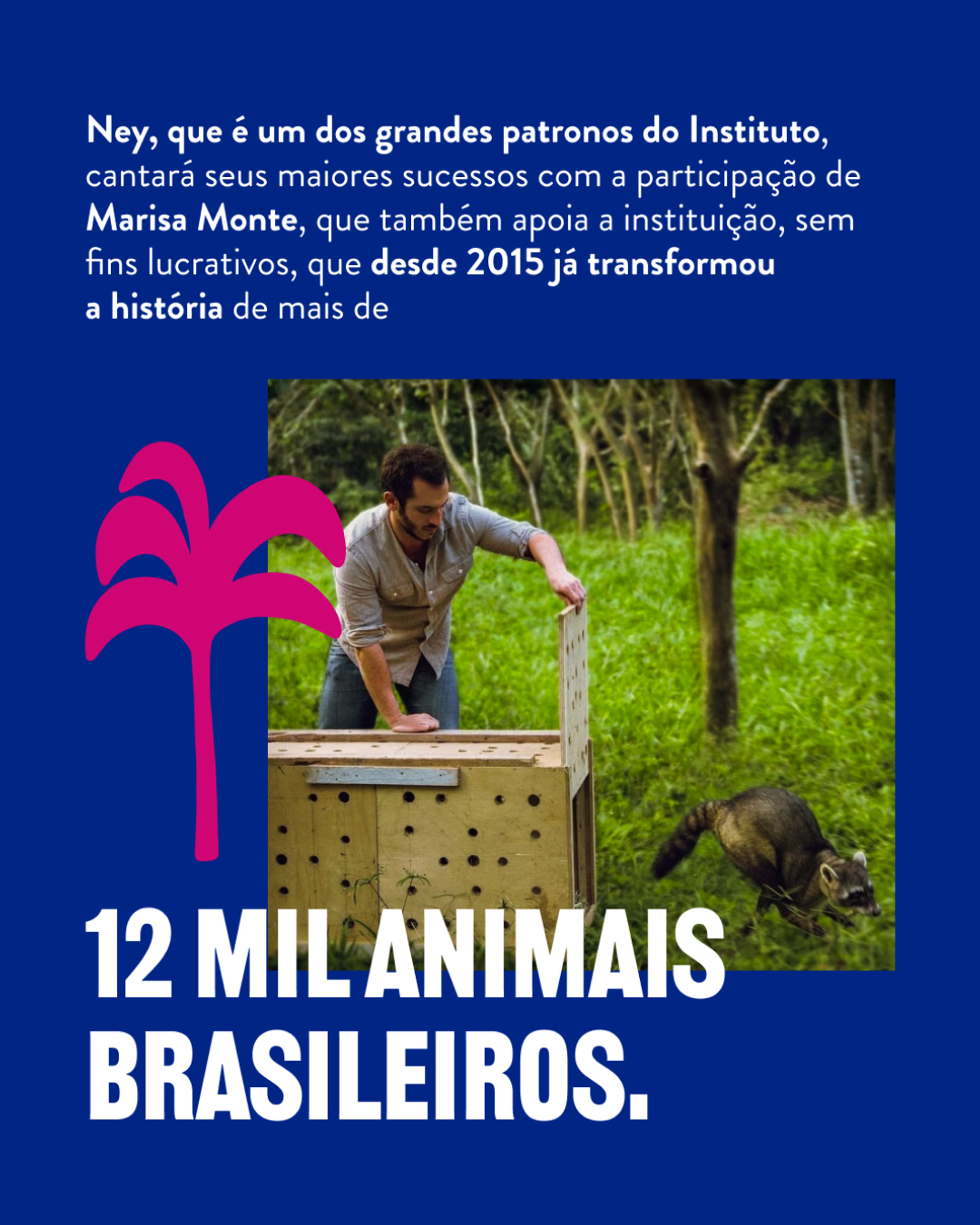 @institutovidalivre