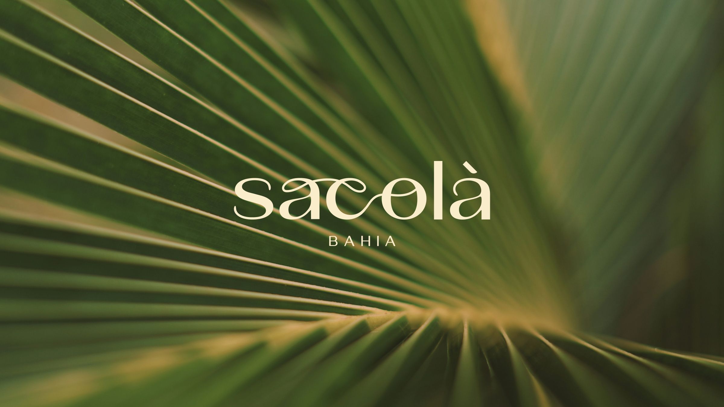 @sacola_bahia