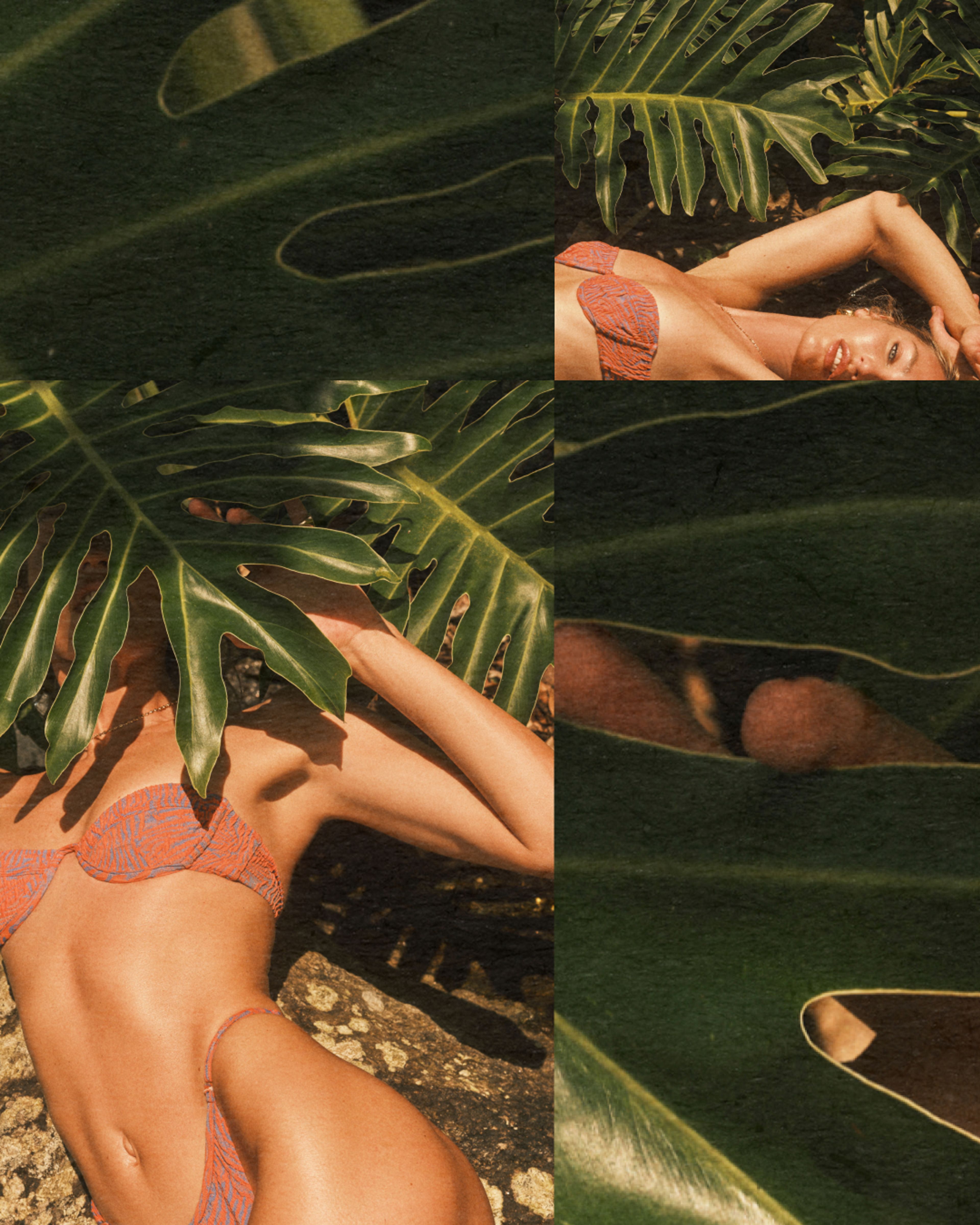 @tropicofc