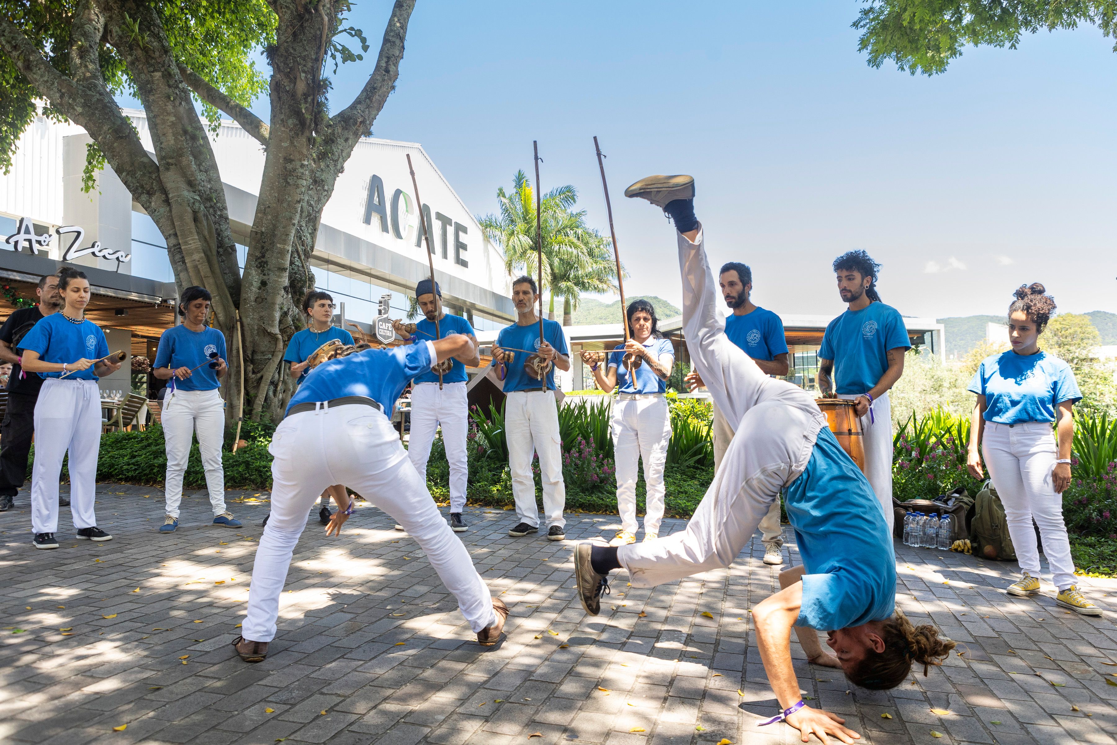 Festival SGB chega à 15ª edição em Florianópolis com o tema "Gingado: Inovação brasileira em movimento" — imagem 2