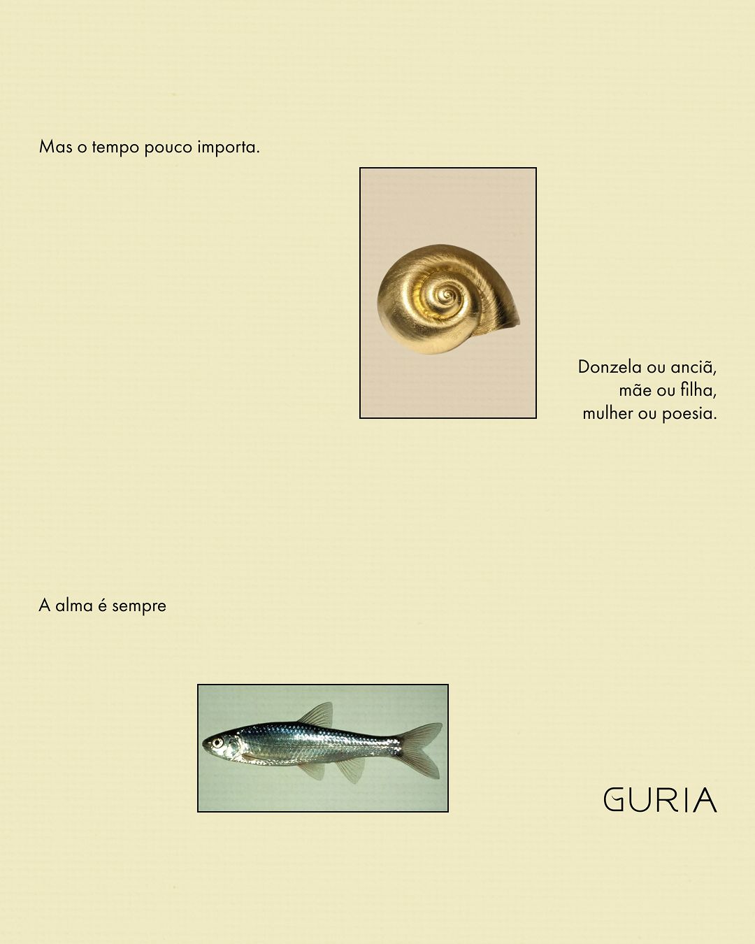 @guria.inspira