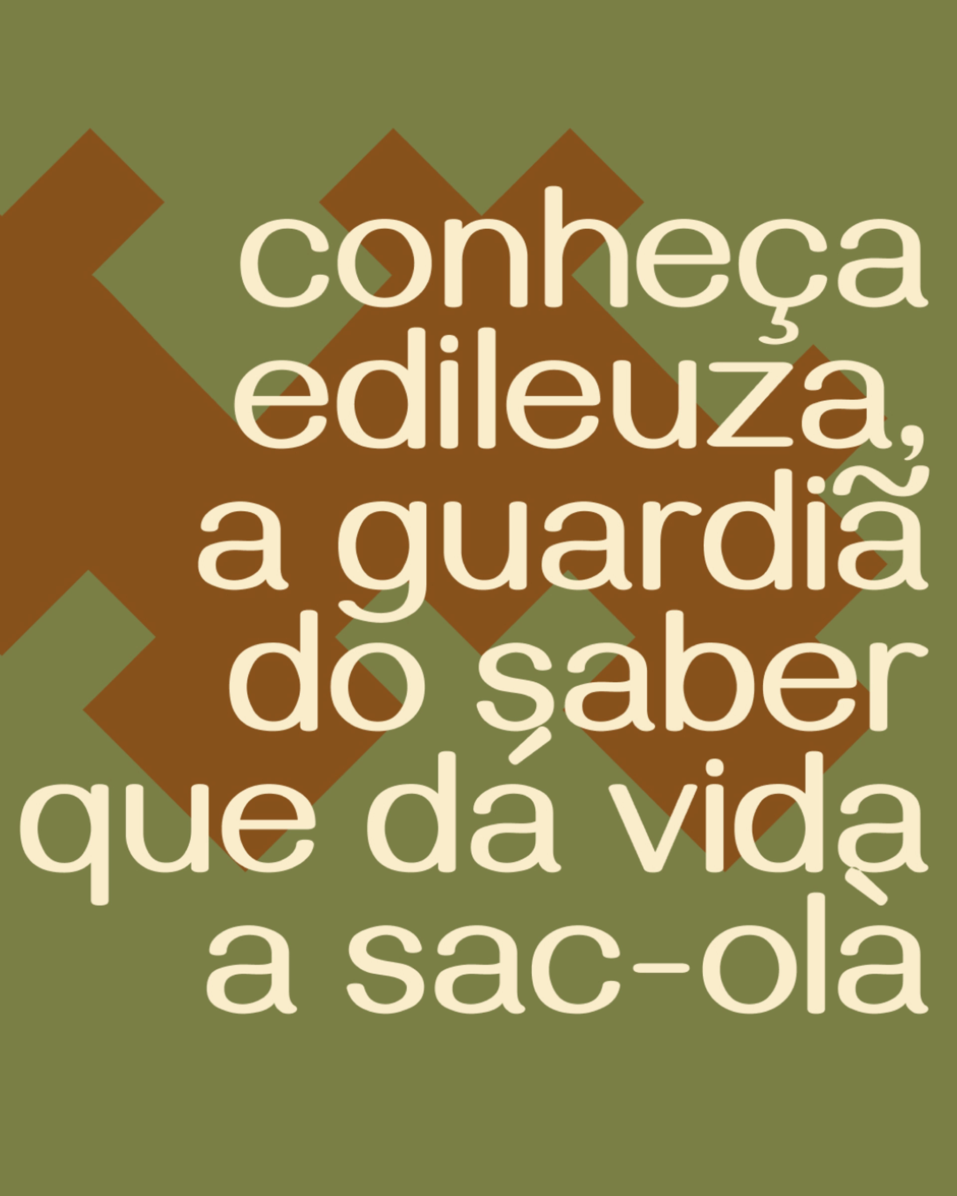 @sacola_bahia