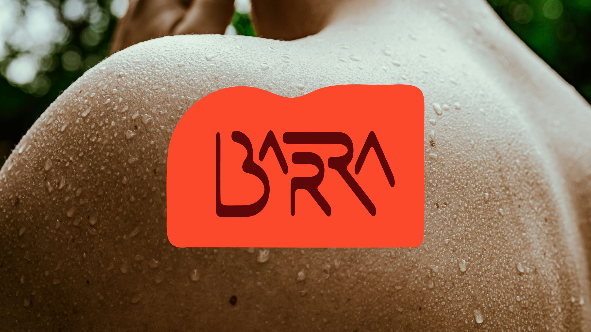 @barra.concept