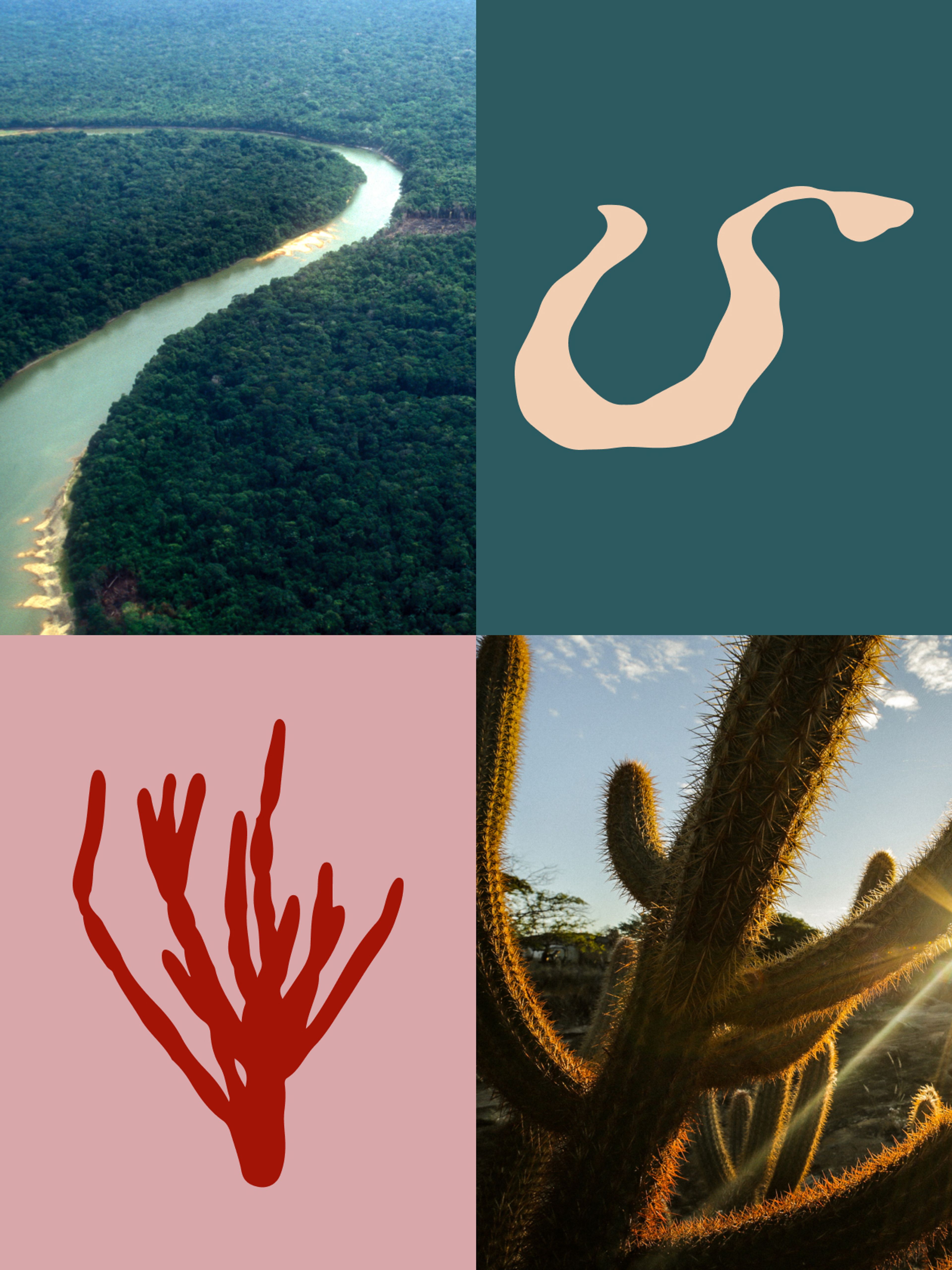 @gondwanabrasil