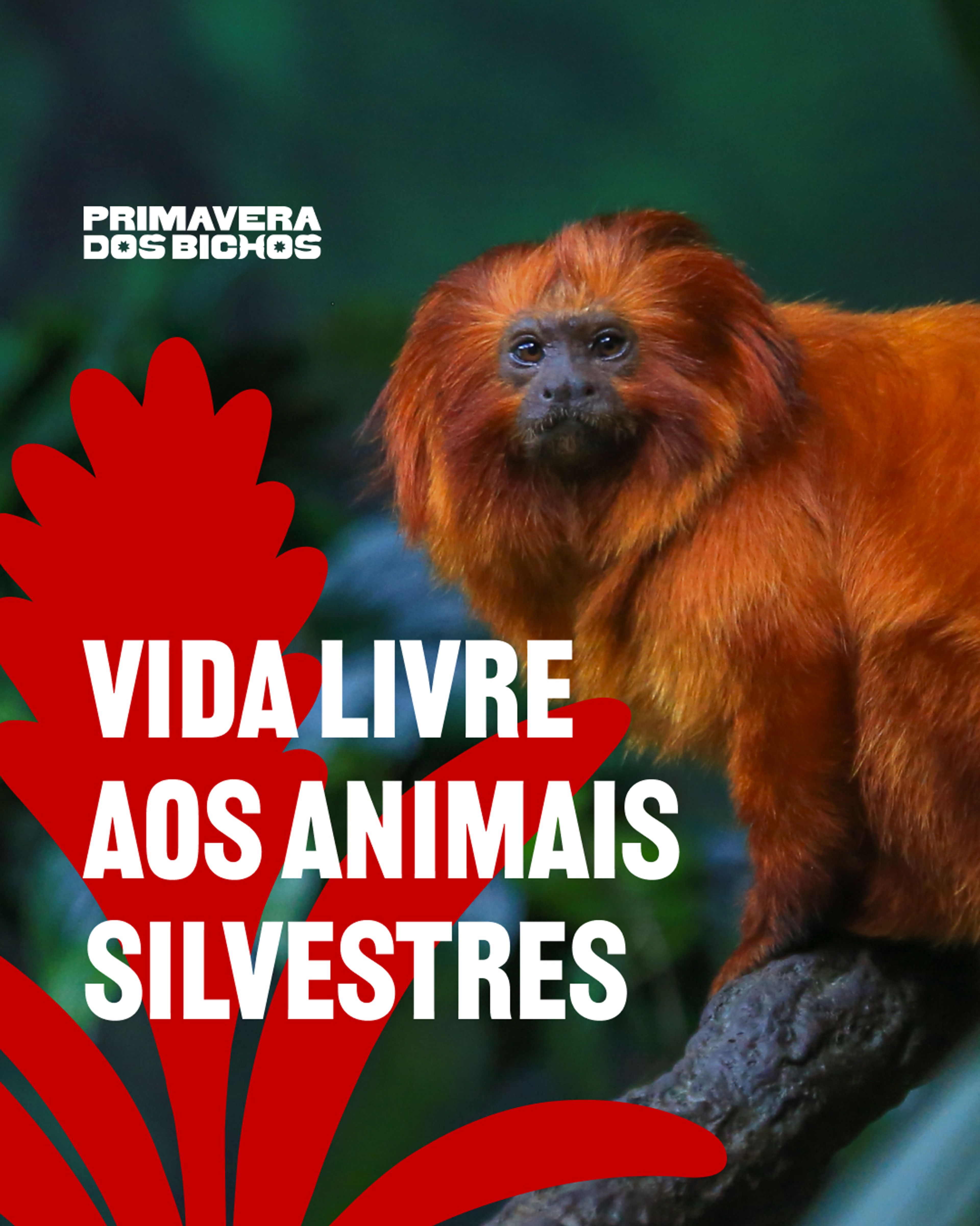 @institutovidalivre