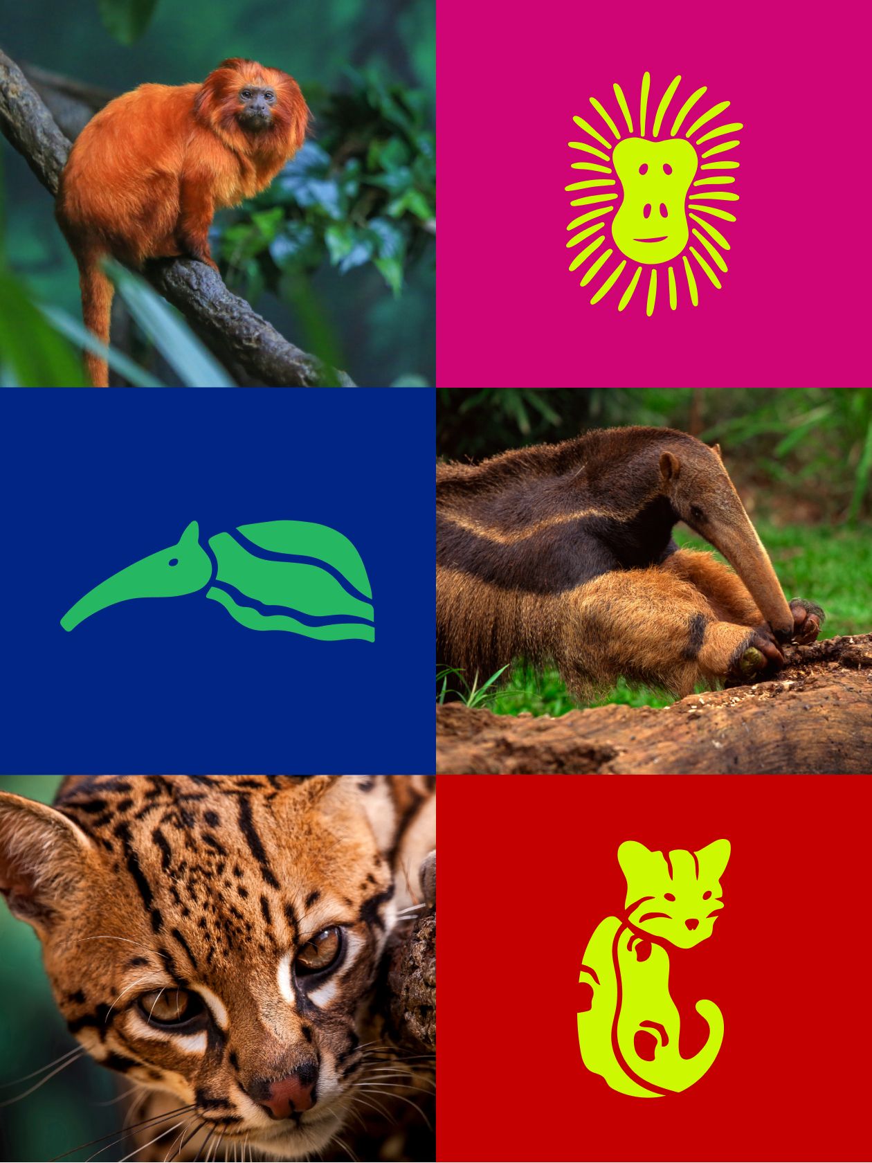 @institutovidalivre