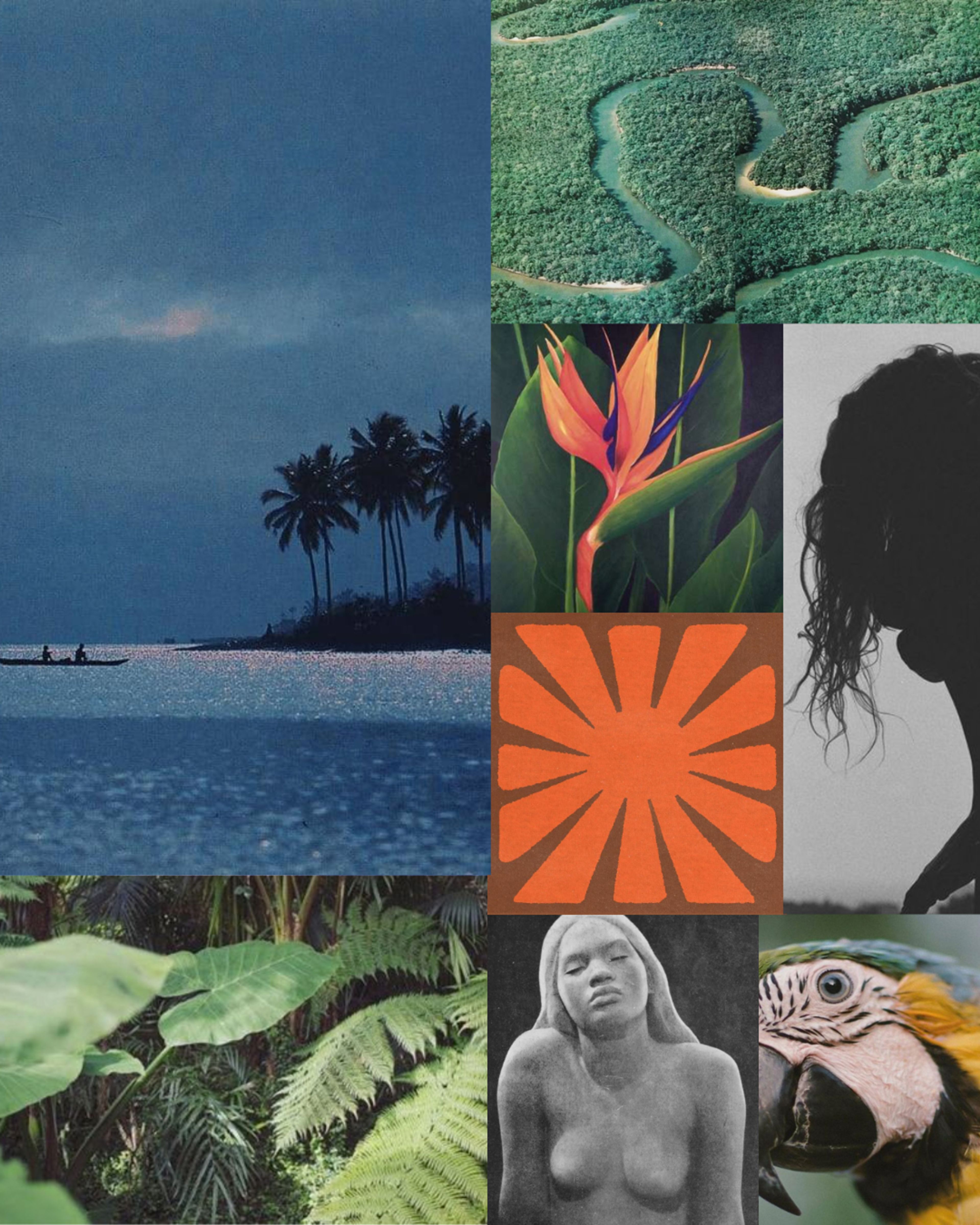 @tropicofc