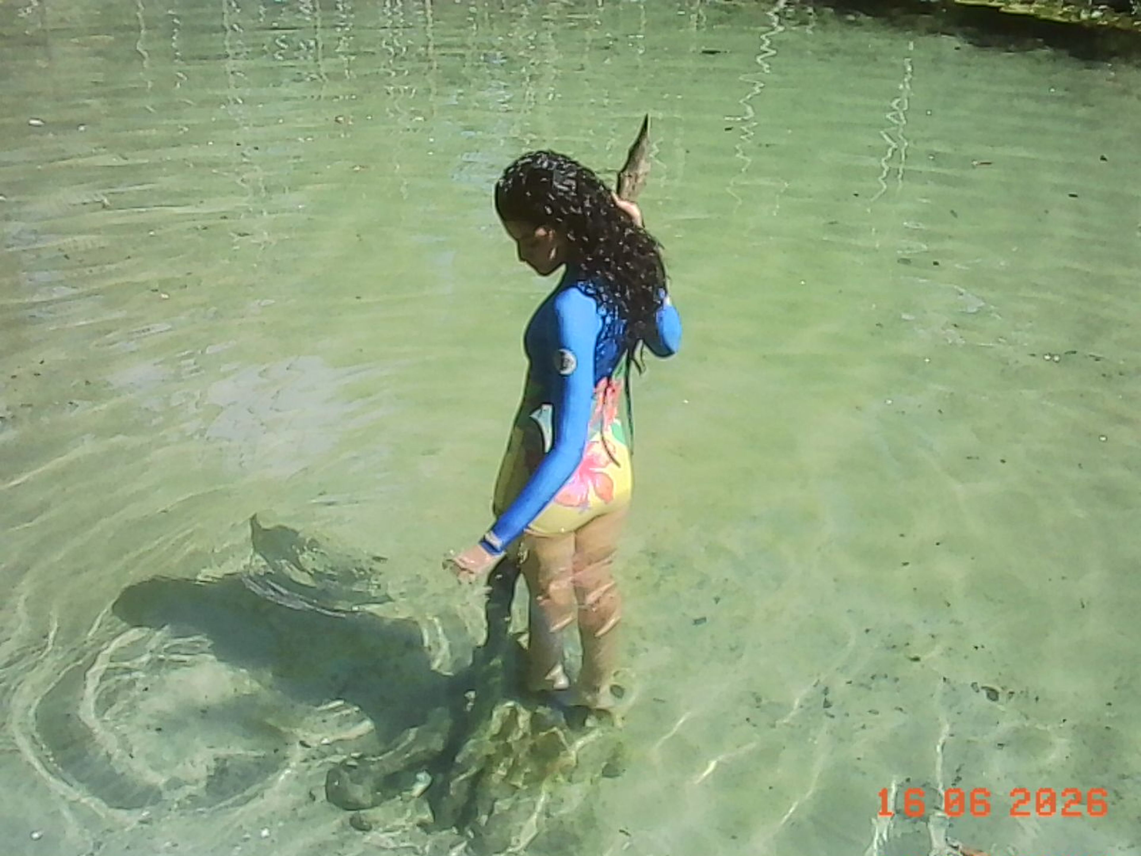 Galeria imagem 3