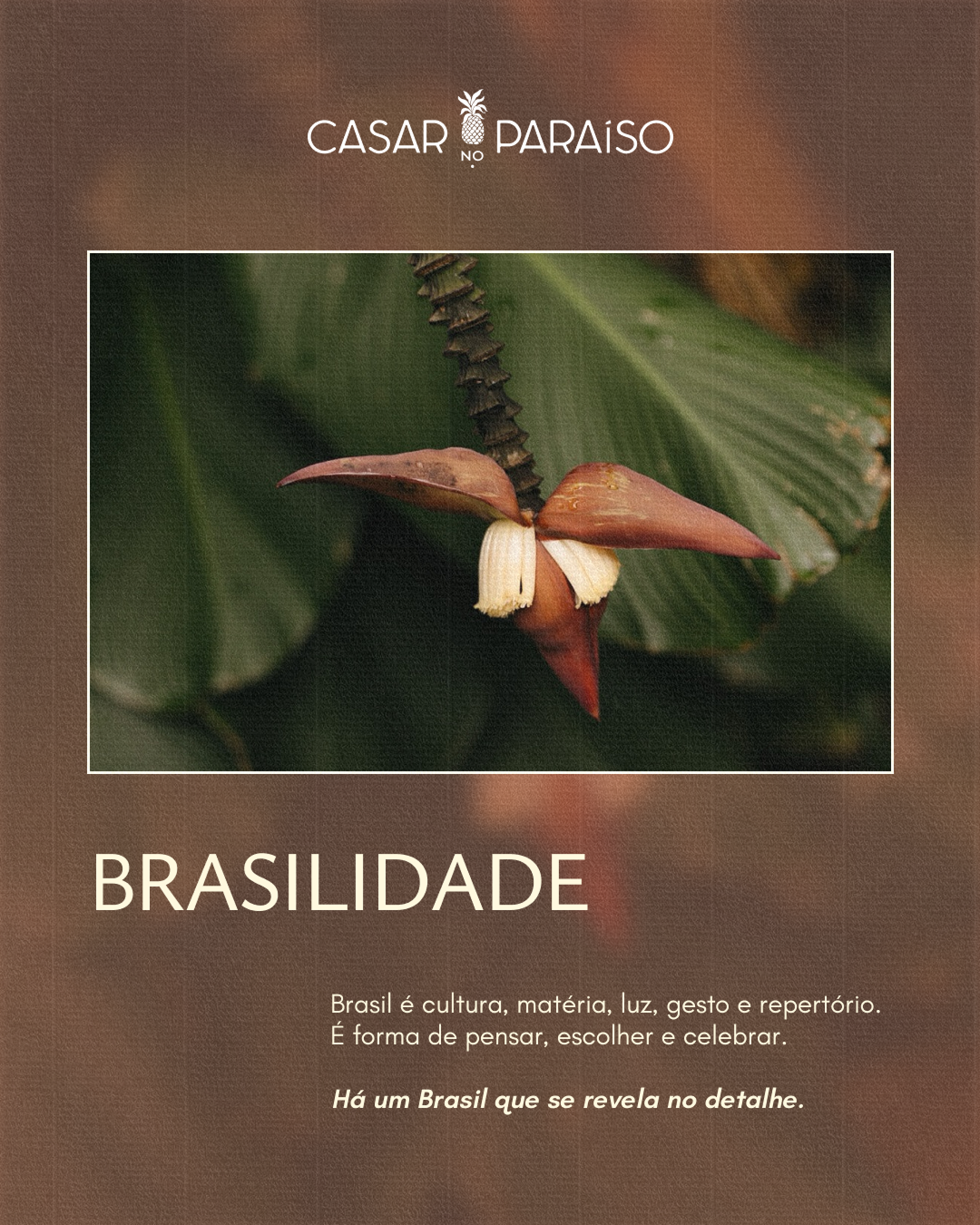 @casarnoparaiso