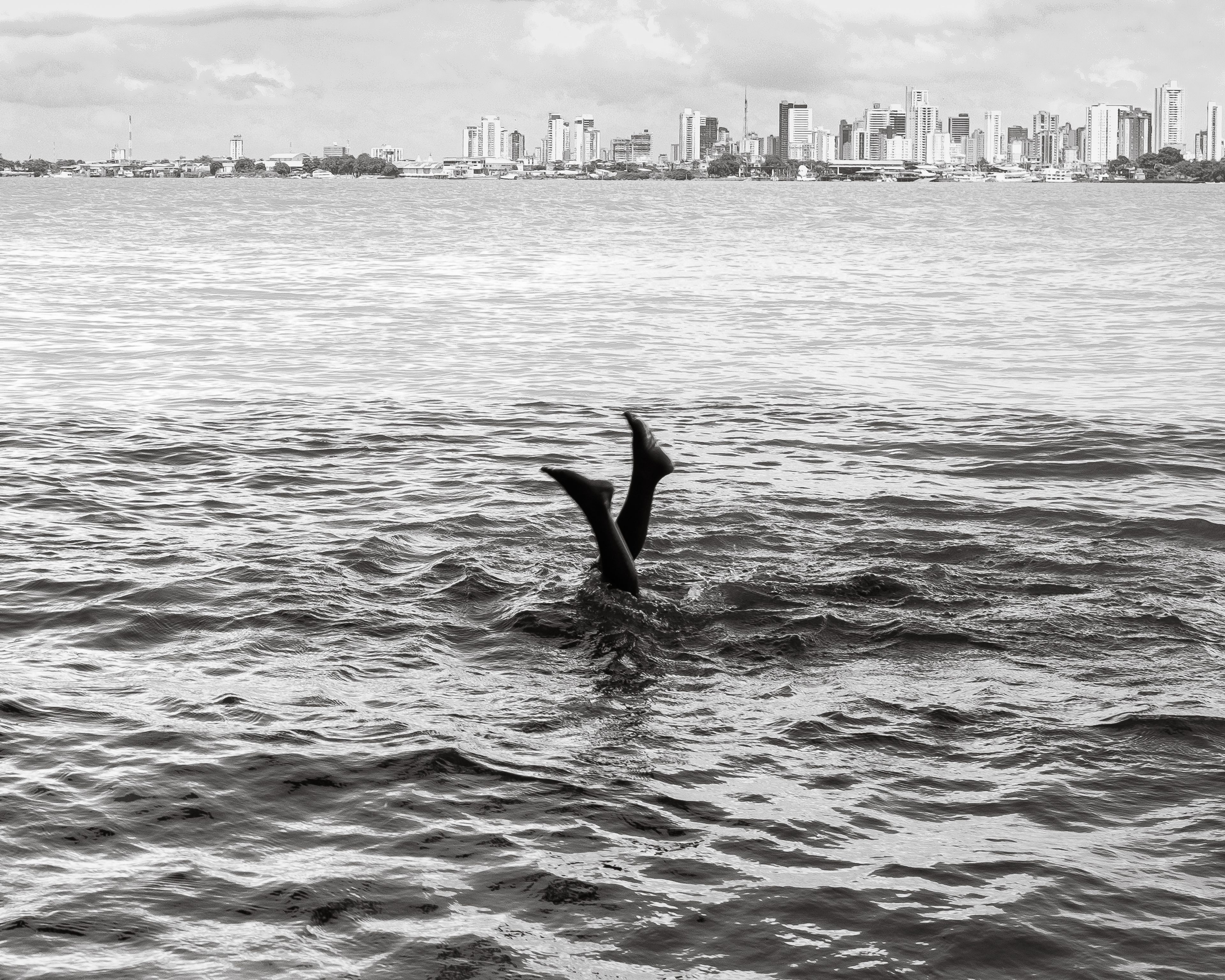 Fotografar a Amazônia de dentro