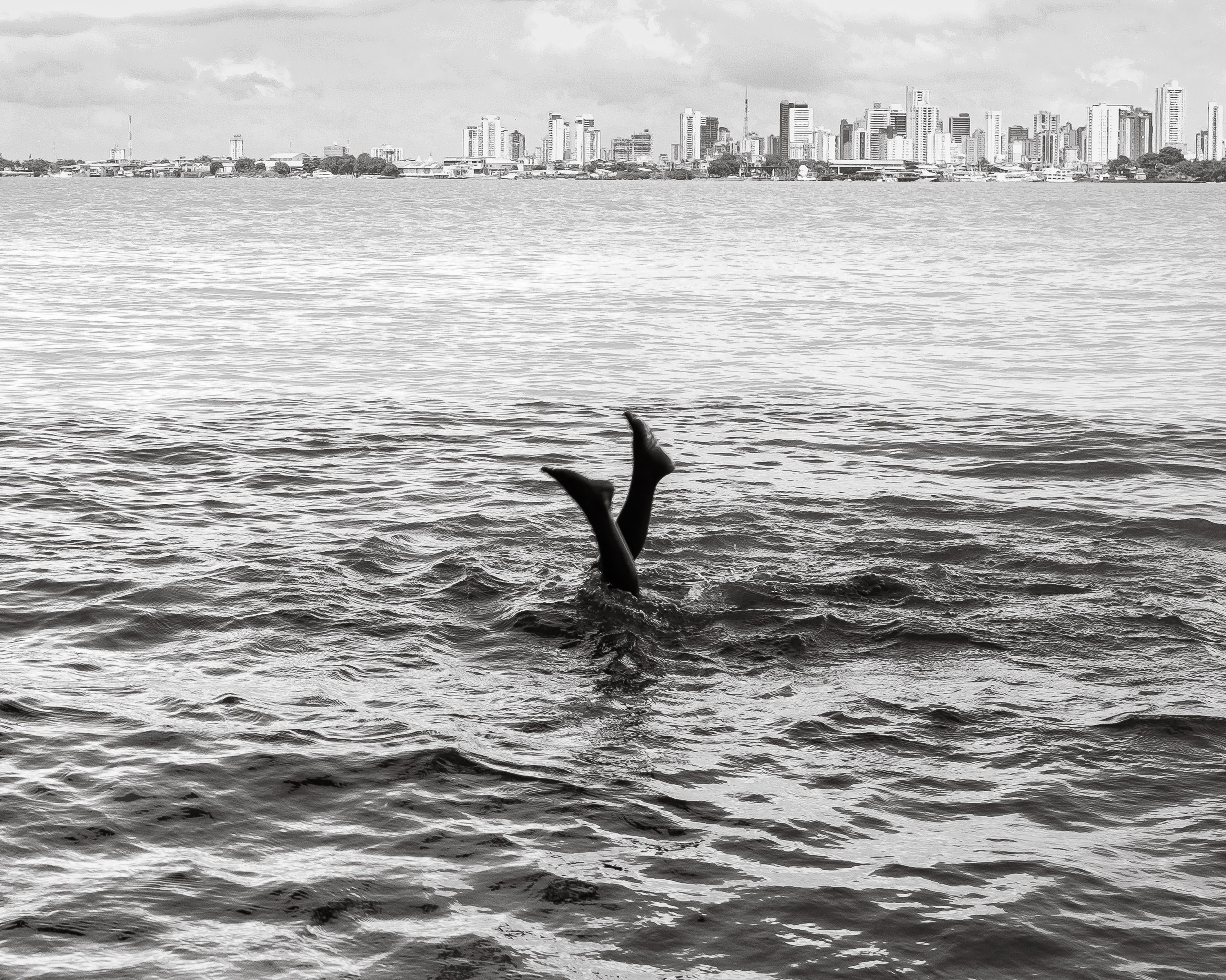 Fotografar a Amazônia de dentro