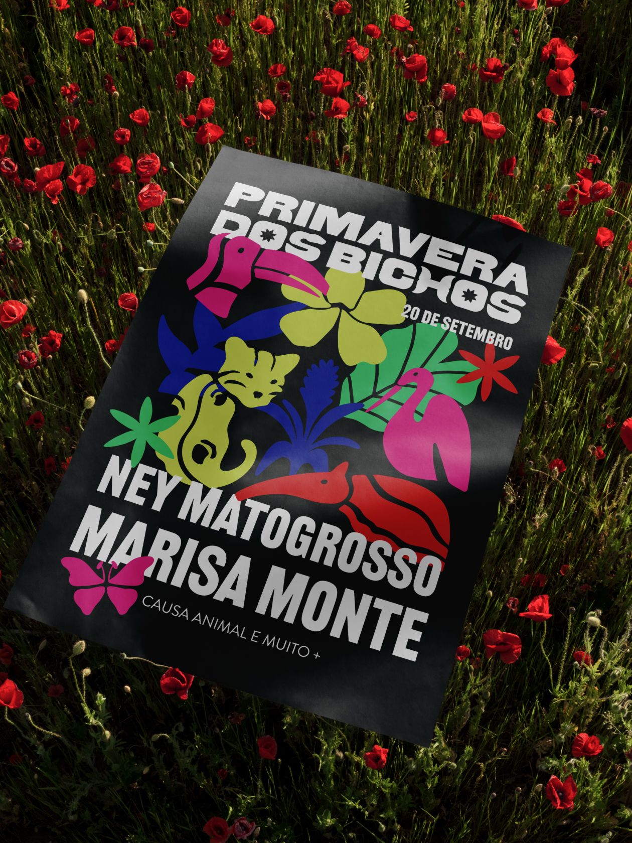 @institutovidalivre