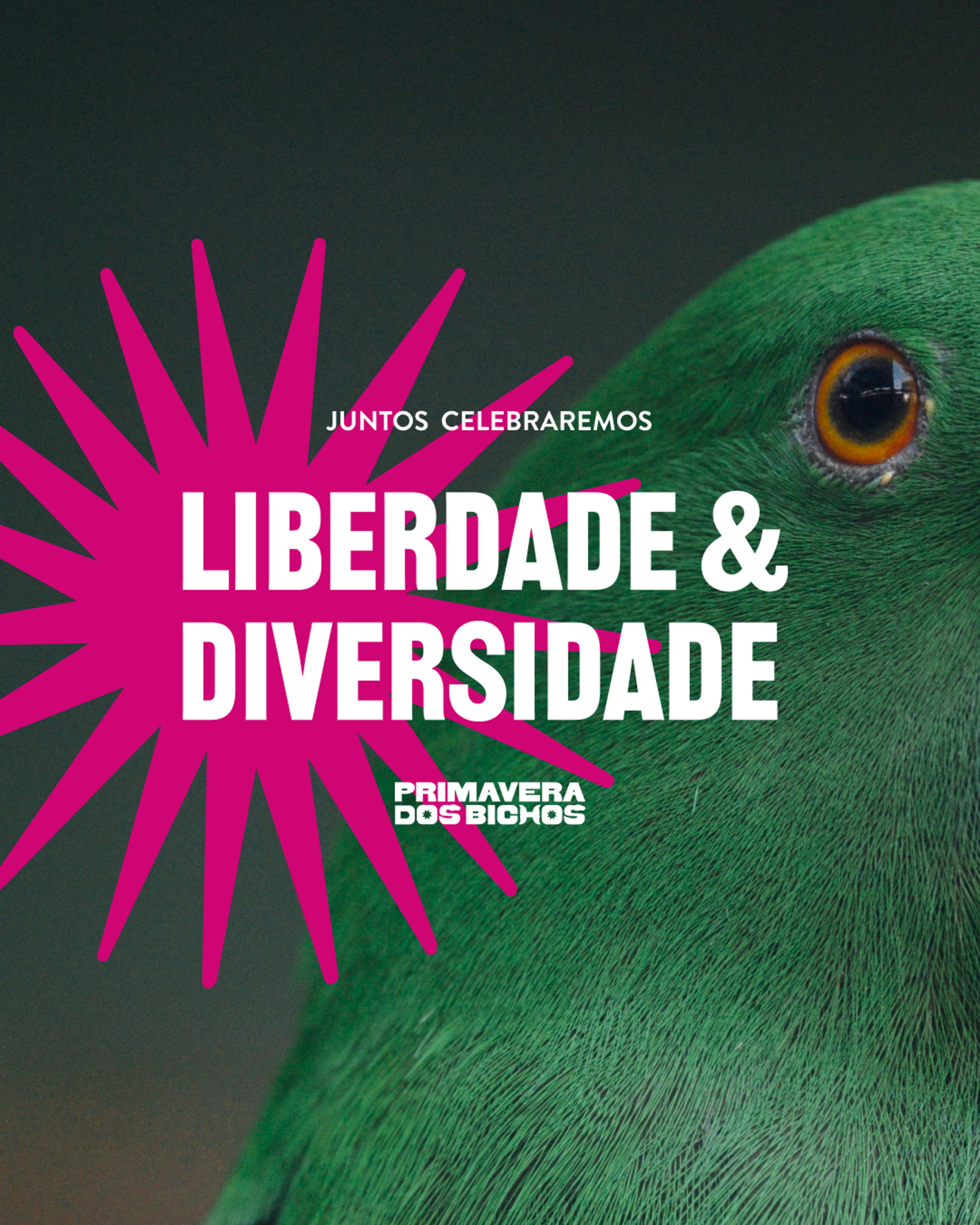 @institutovidalivre