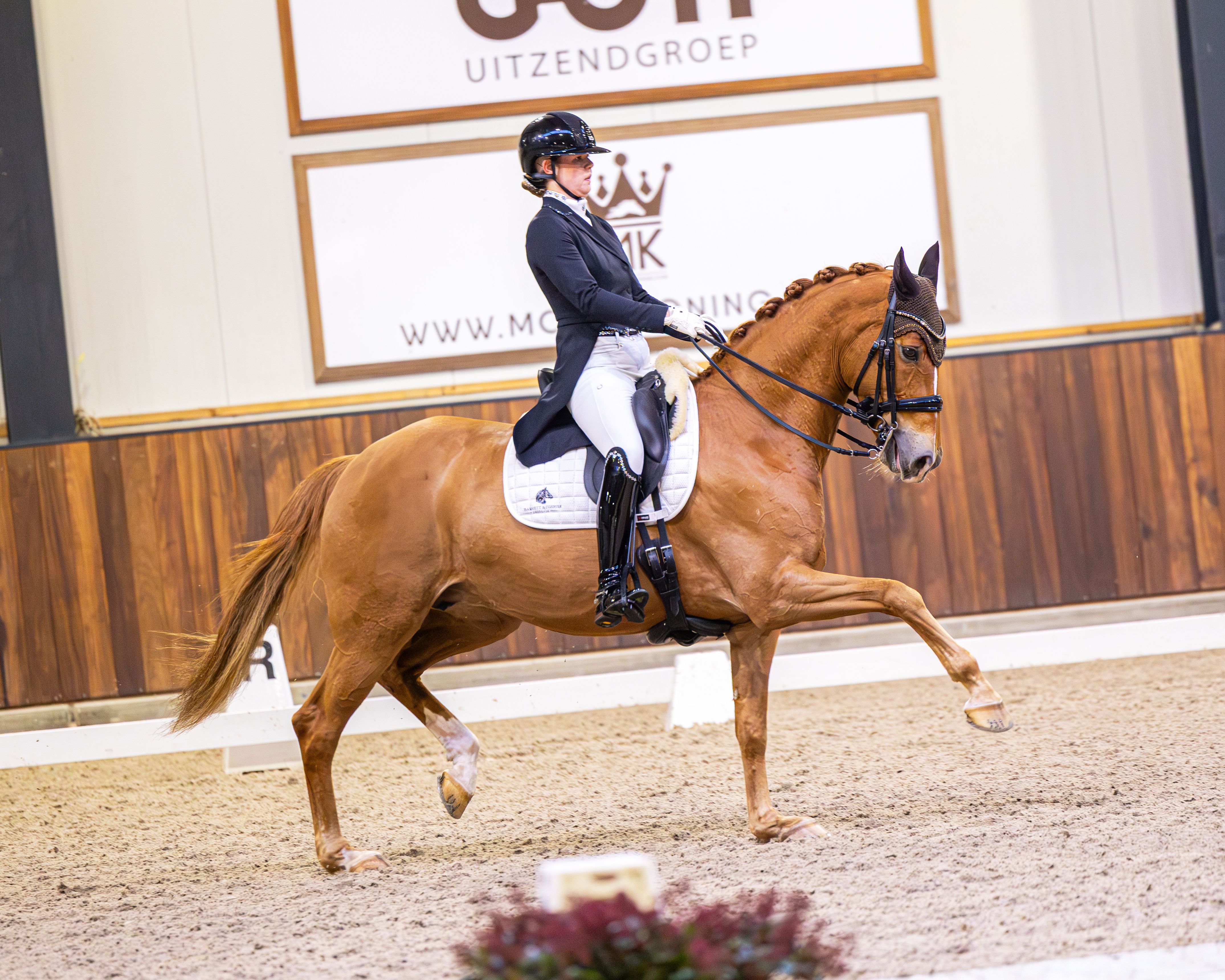 Girl riding dressage horse inside.
