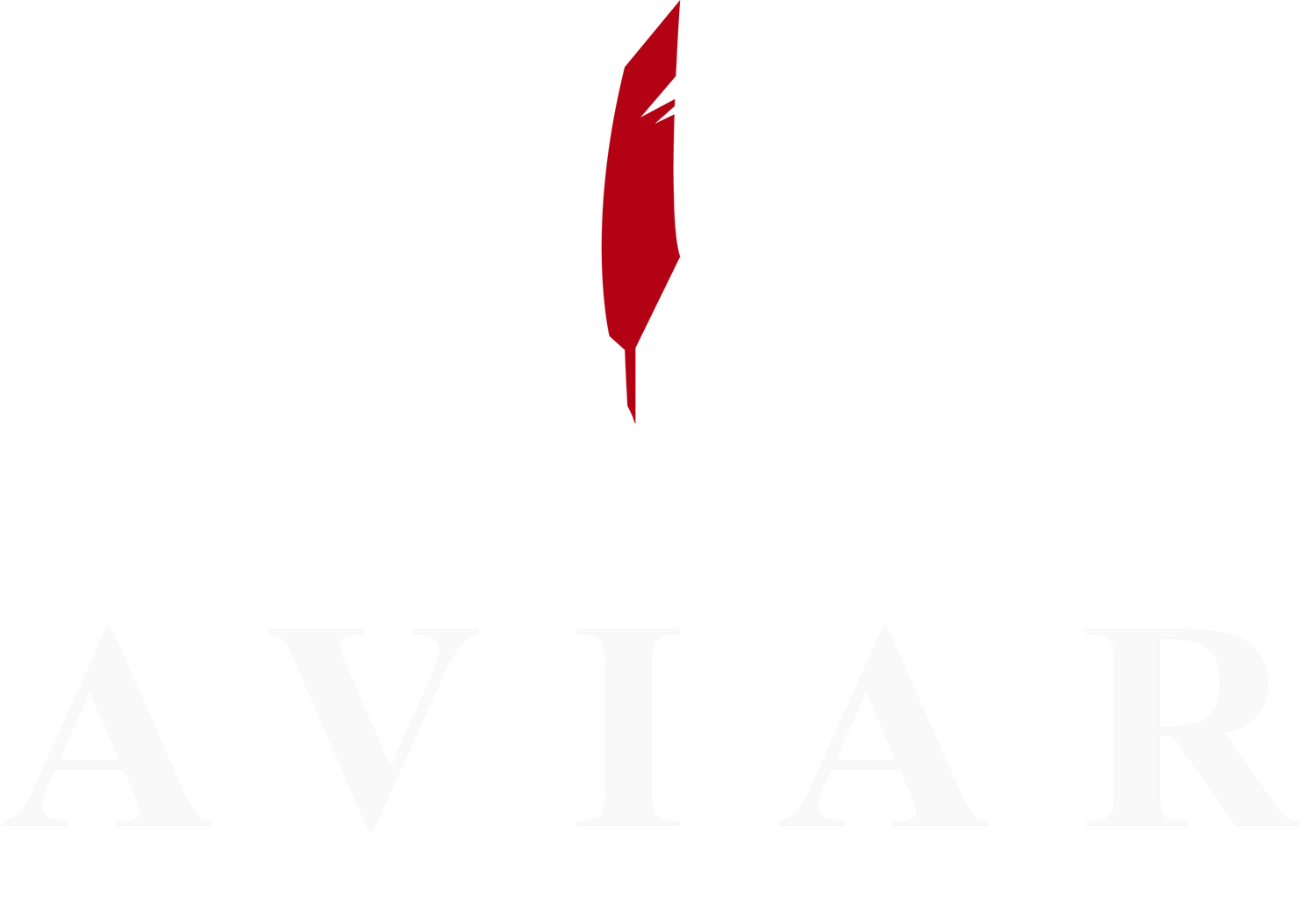 Aviar Saddles logo