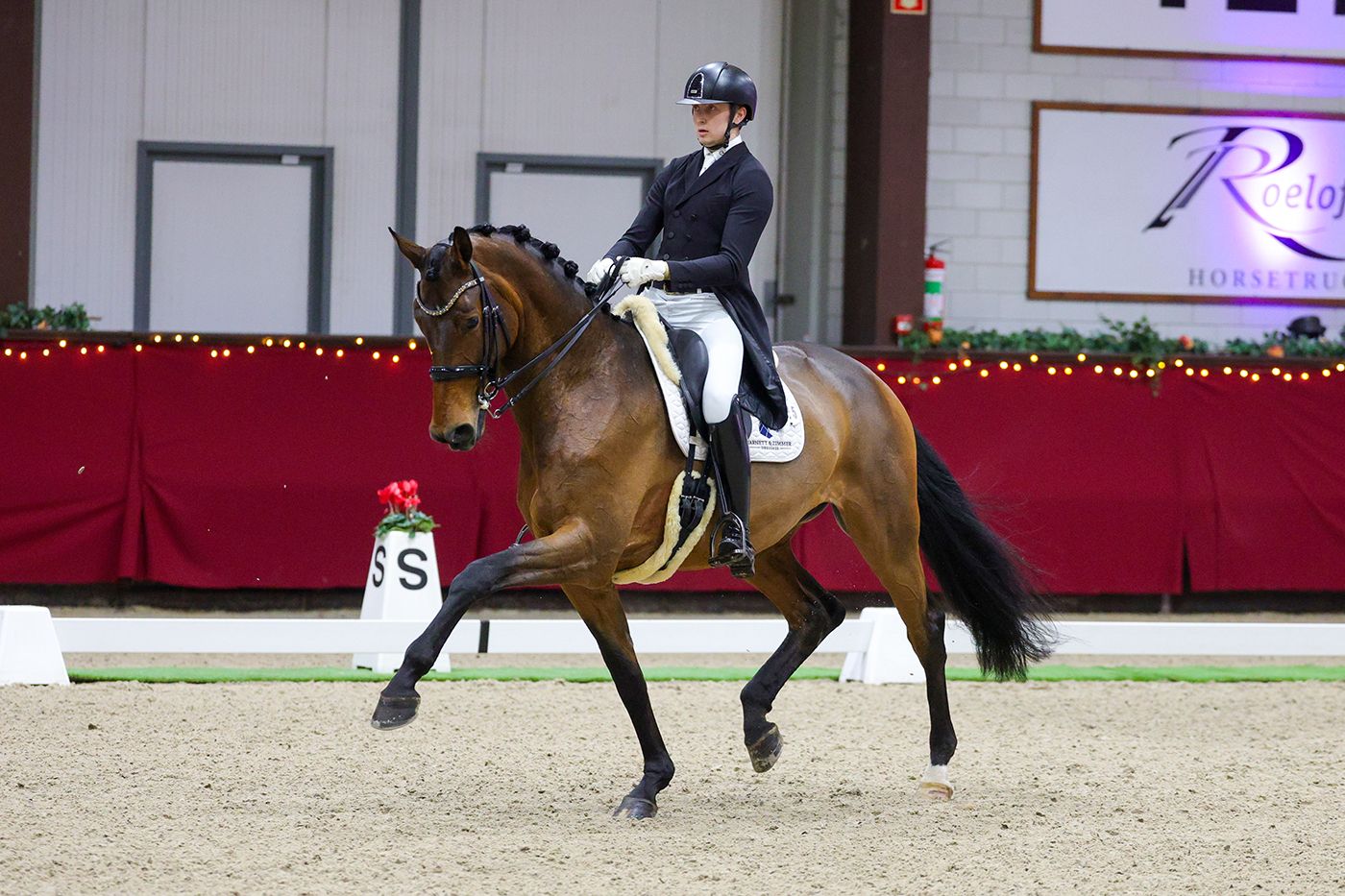 Horse with selection of sadles