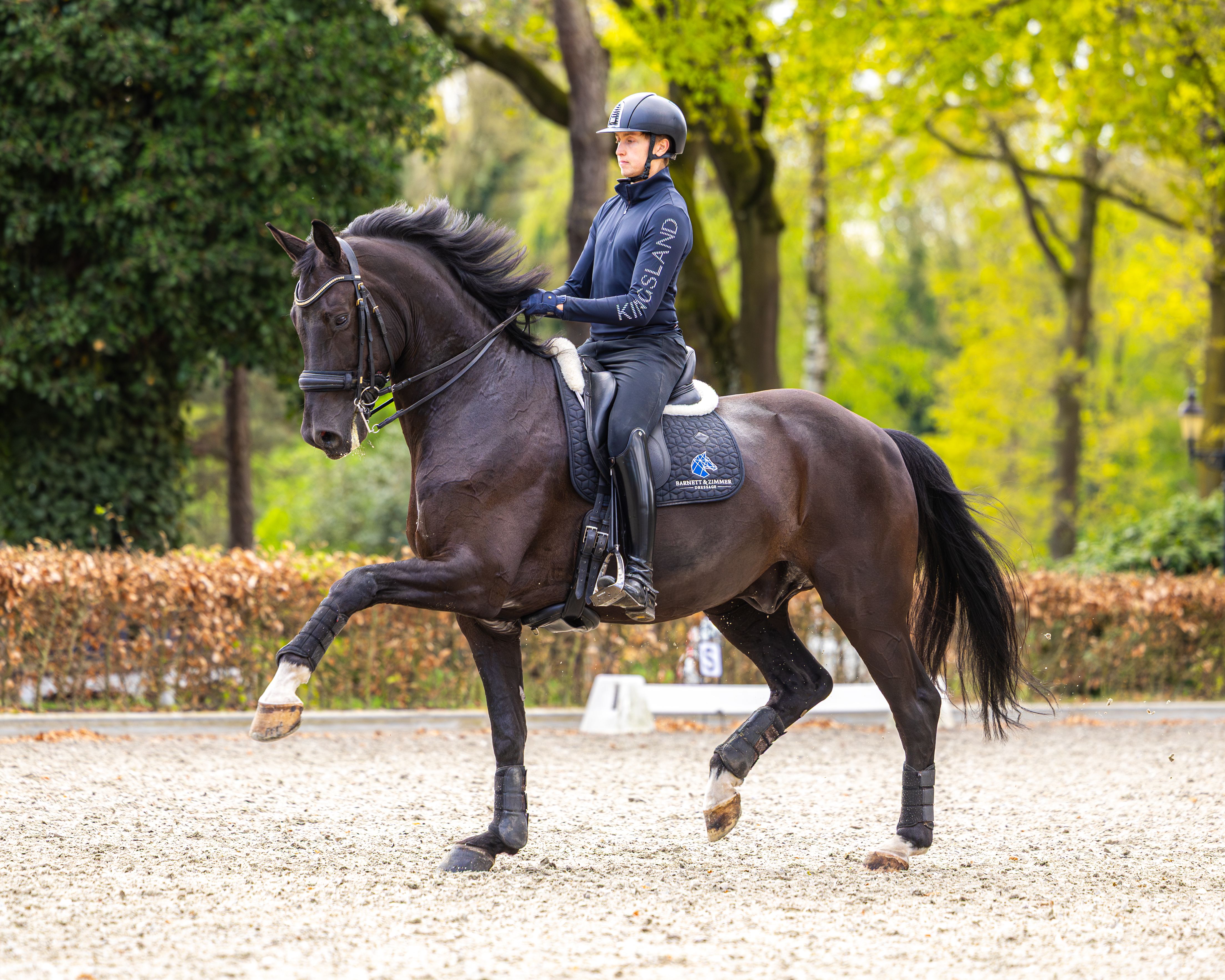 Rider on horse